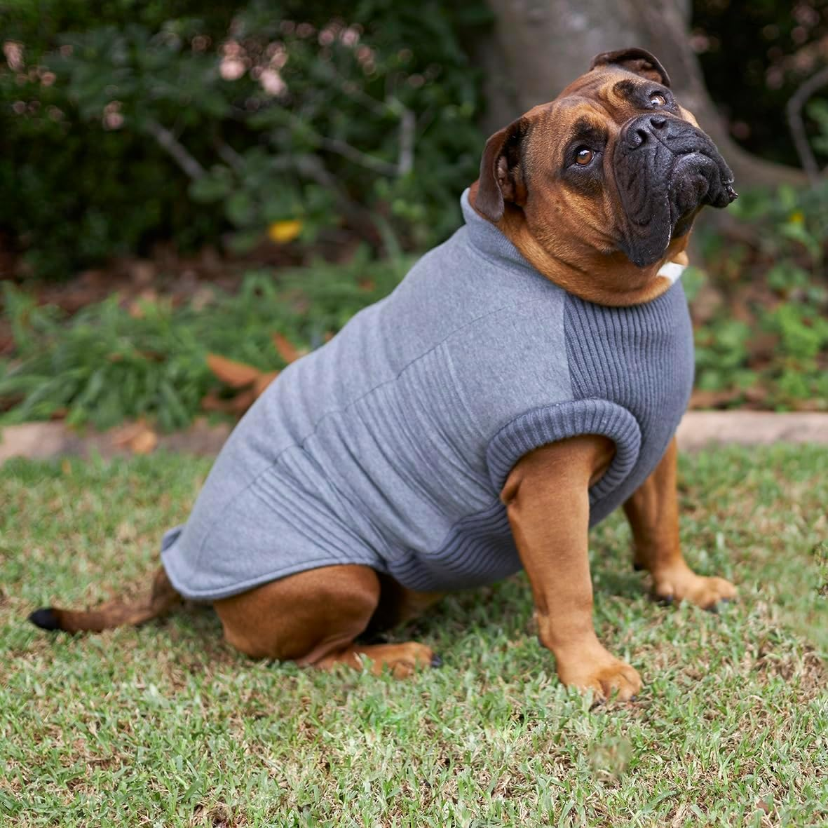 Kazoo Armadillo Dog Jacket, Charcoal, Large image number 6