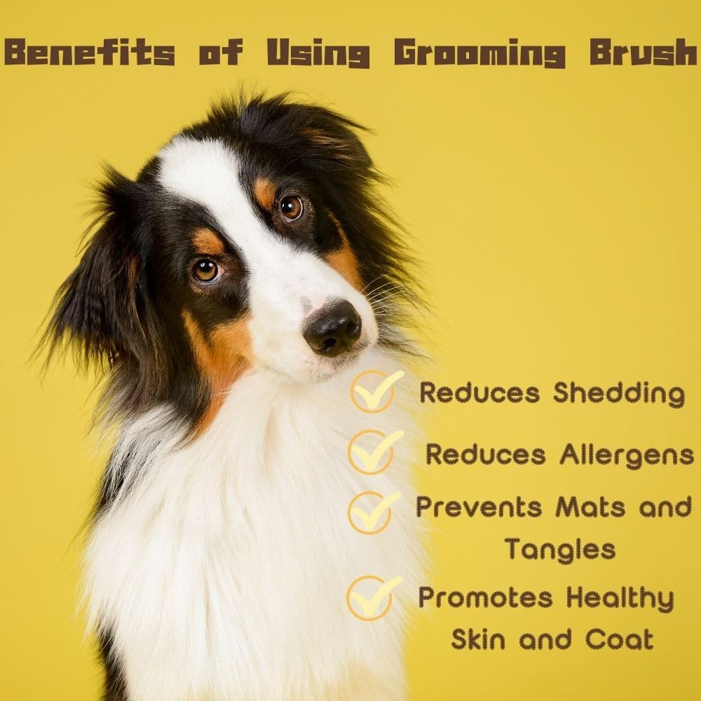 Large Slicker Brush Extra Long Pin Slicker for Long Haired Dog and Cat, Pet Grooming Brush Easy to Comb Knots Use to Clean Loose & Dirt, Pet Brushes for Dogs Shedding for Thick Undercoat Curly Hair, 25Mm(Black) image number 1