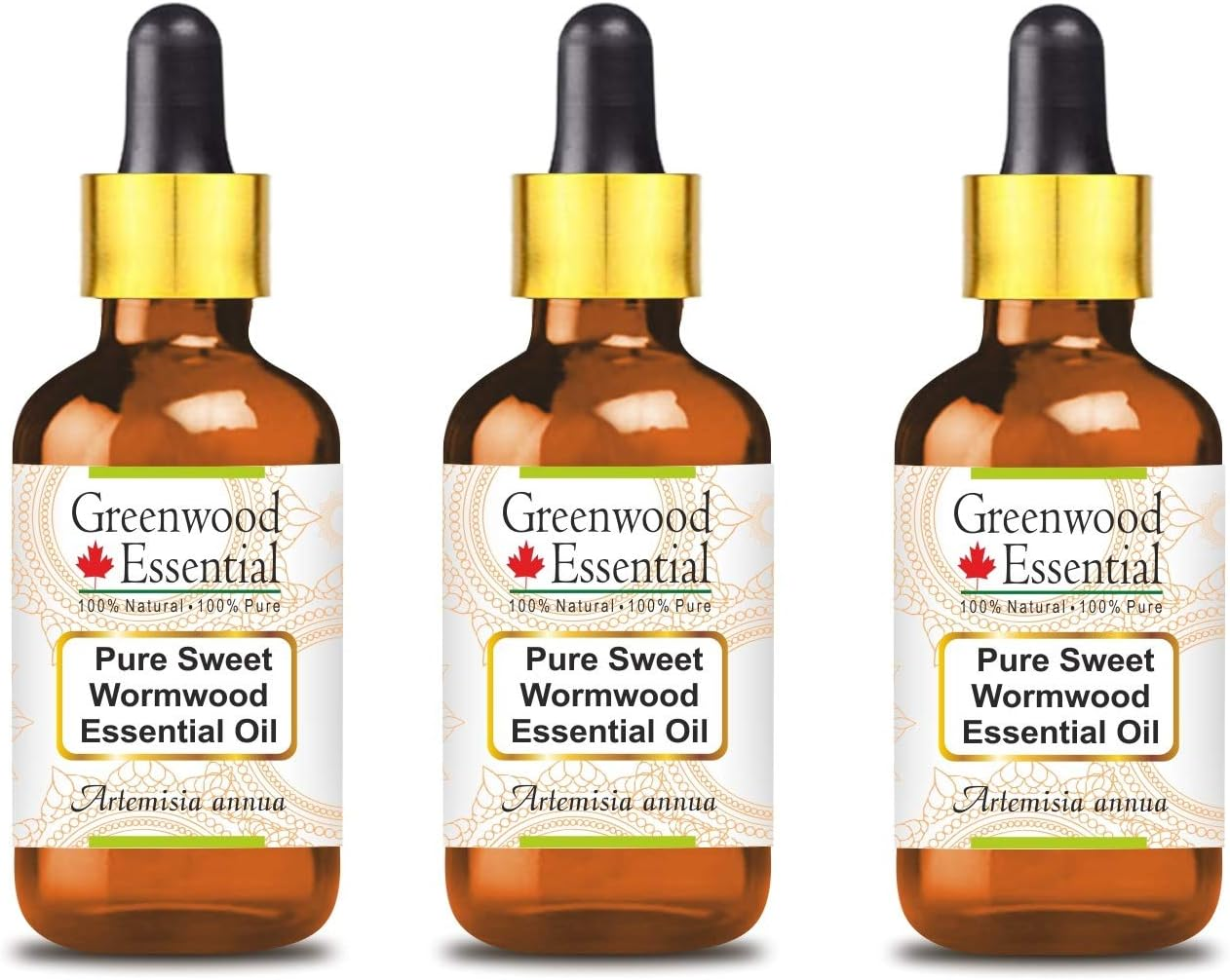 Greenwood Essential Pure Sweet Wormwood Essential Oil (Artemisia Annua) with Glass Dropper Steam Distilled for Personal Care (Pack of Three) 100Ml X 3 (10Oz) image number 3