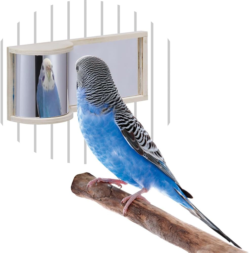 Minimal Land Bird Toy Bird Palace Sugata Mirror image number 5