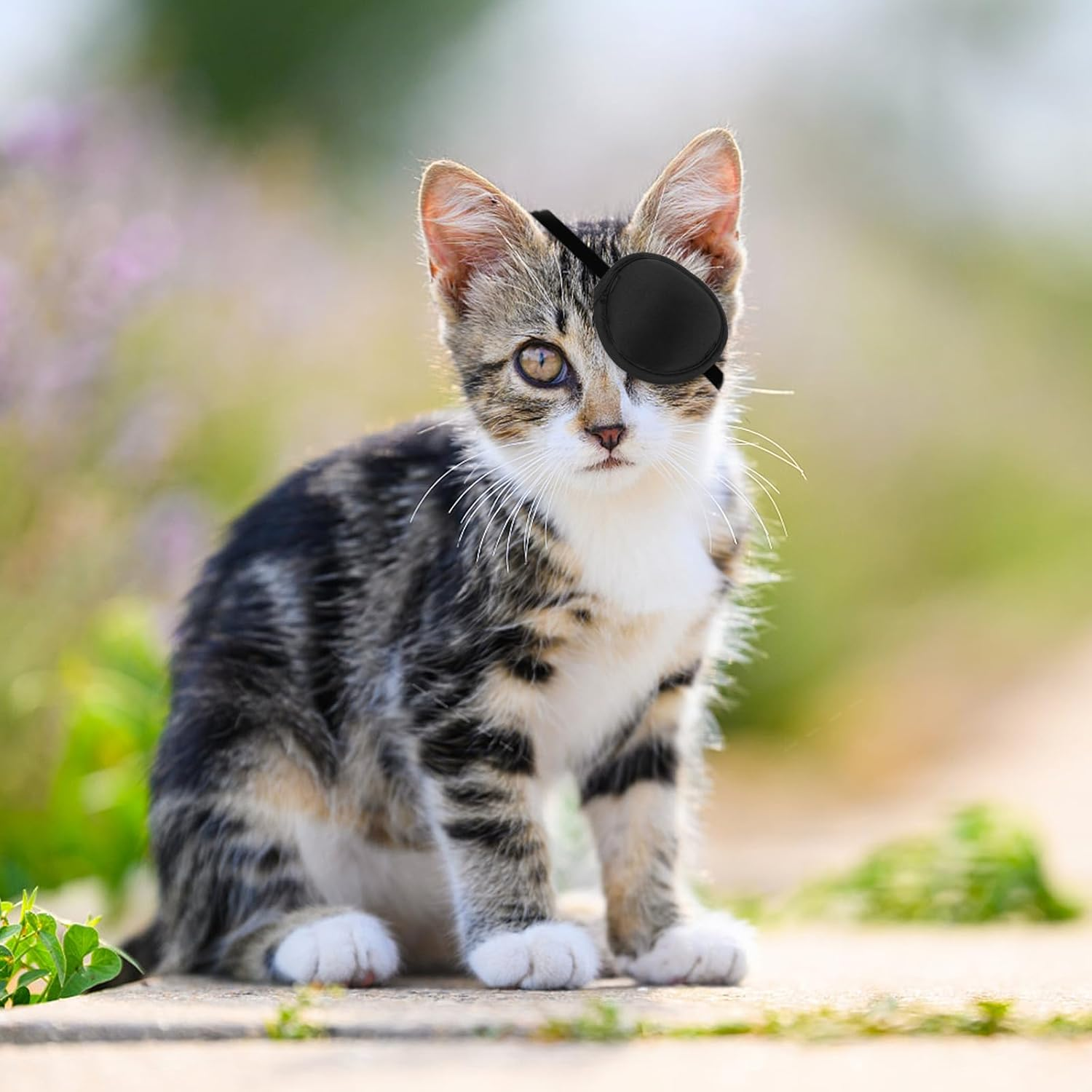 Yeebeny Dog Eye Patch, Eye Patch for Dogs Eye Injuries after Surgery Wounds, Adjustable Soft Eyepatch Dogs Eye Covering Pack of 2 image number 5