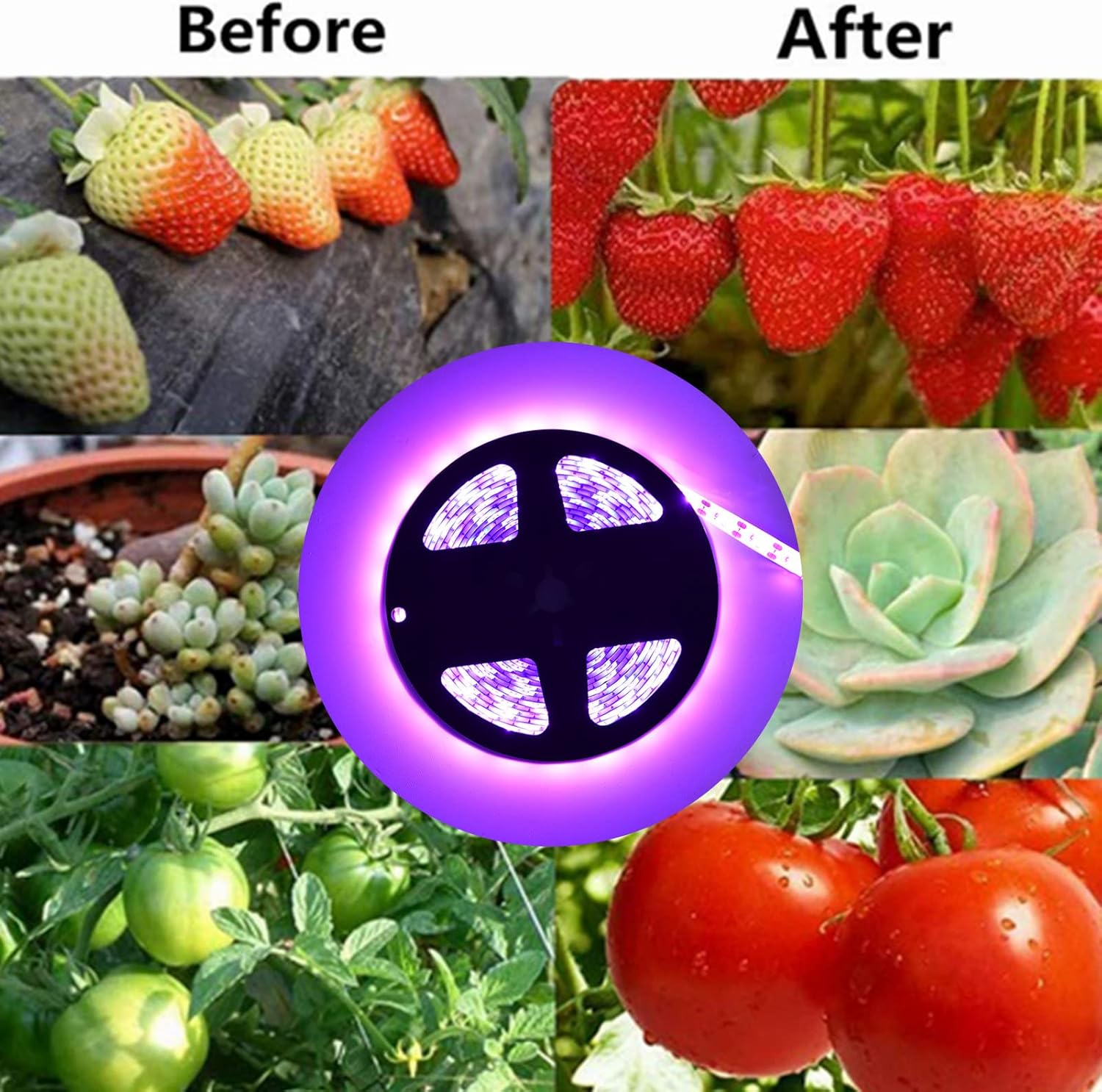 5W Solar Energy Grow Light Strip, Plant Grow Spectrum LED Light Strip, Solar LED Grow Light Strips with Panel for Gardening Home Balcony Sowing (5W 2M) - 0.5M image number 7