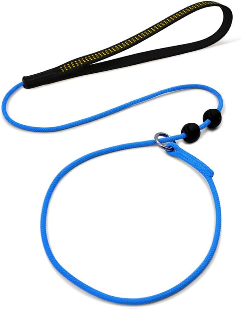 Beaugo Slip Leads for Dogs,Top Speed Training Dog Leash,2-In-1 Slip Collar Dog Training Lead & Collar,5Ft Thin Slip Lead,Sturdyand Durable, Leash Suitable for Small, Medium, and Large Dogs(Dark Green