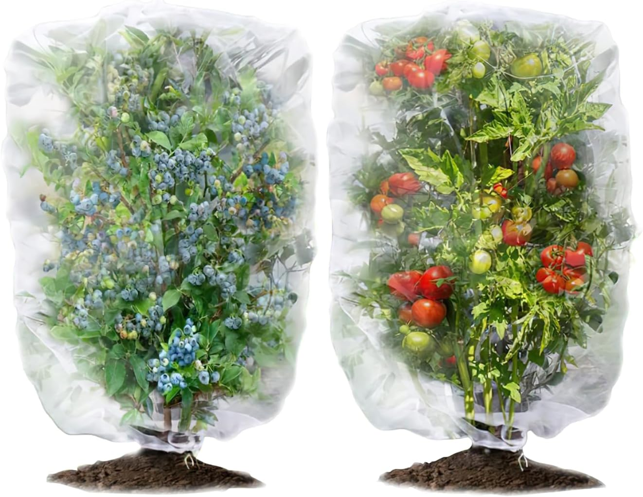 2Pcs 3.28 X 4.59 Ft Fruit Tree Net, Garden Insect Net, Plant Cover, Transparent Bird and Plant Barrier with Zipper and Drawstring, Flower and Fruit Net for Preventing Deer, Squirrel image number 1