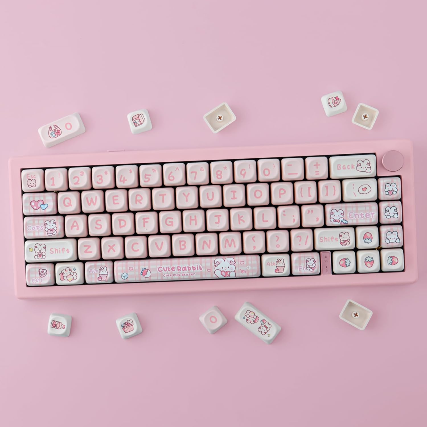 TYRIXKI PBT 148 Keys Cute Keycaps Dye-Sublimation Bunny Keycaps Set MOA Profile for Cherry Gateron MX Keys Mechanical Keyboards - Cats Eat Fish image number 4
