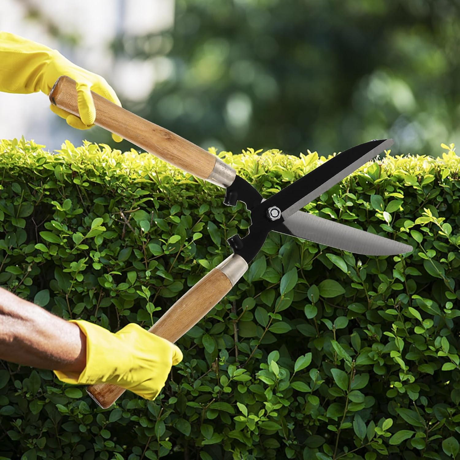 Abaodam High Carbon Steel Hedge Cutter with Wooden Handle, Pruning Shears for Gardening, Lawn and Fruit Tree Branch Scissors, Sturdy Manual Garden Tool for Backyard Hedge Trimming image number 1