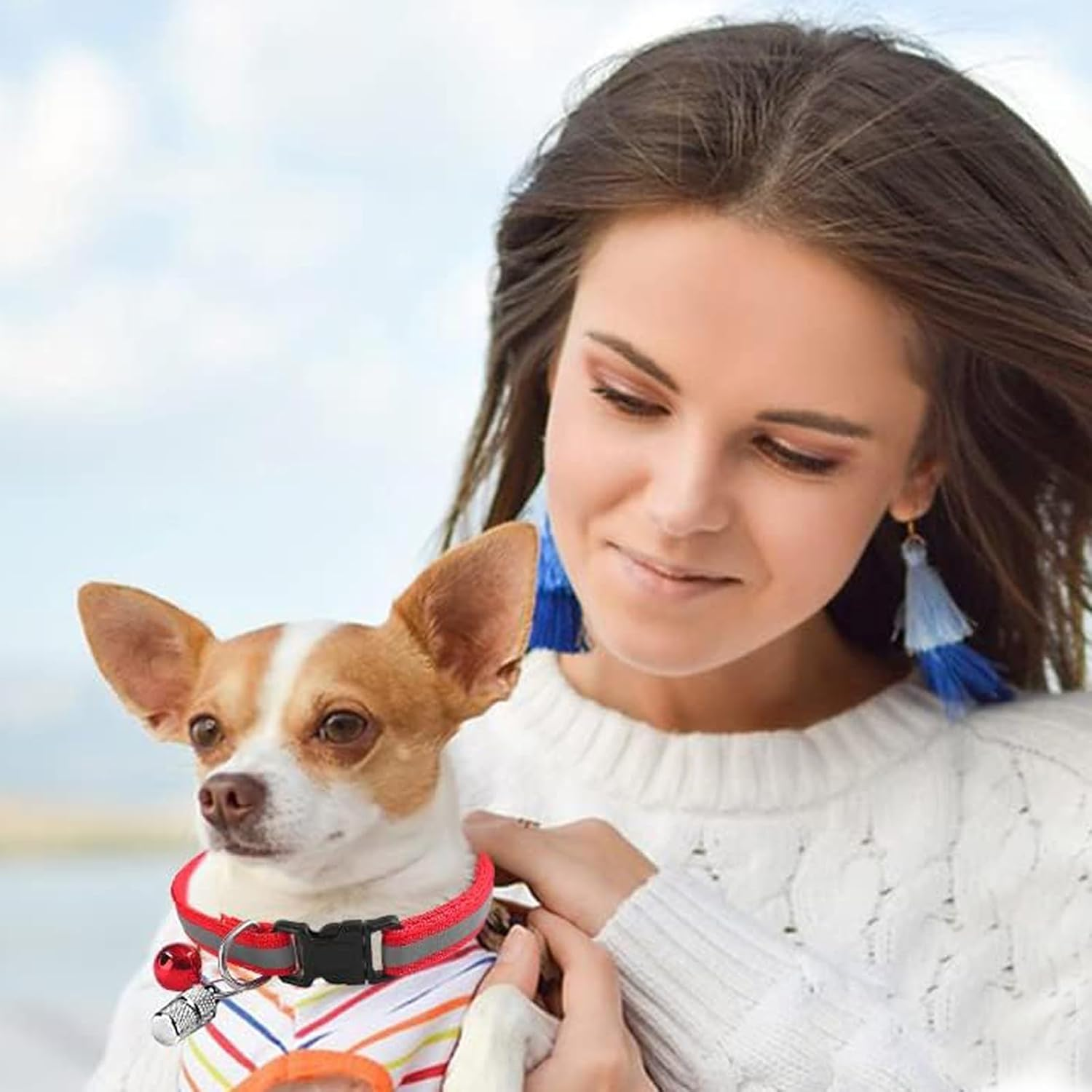 Pack of 8 Reflective Cat Collars, Adjustable Collar Cat Kitten (19-32 Cm), Reflective Kitten Collars, Cat Collar, Reflective Safety Cat Collars with Quick Release image number 1