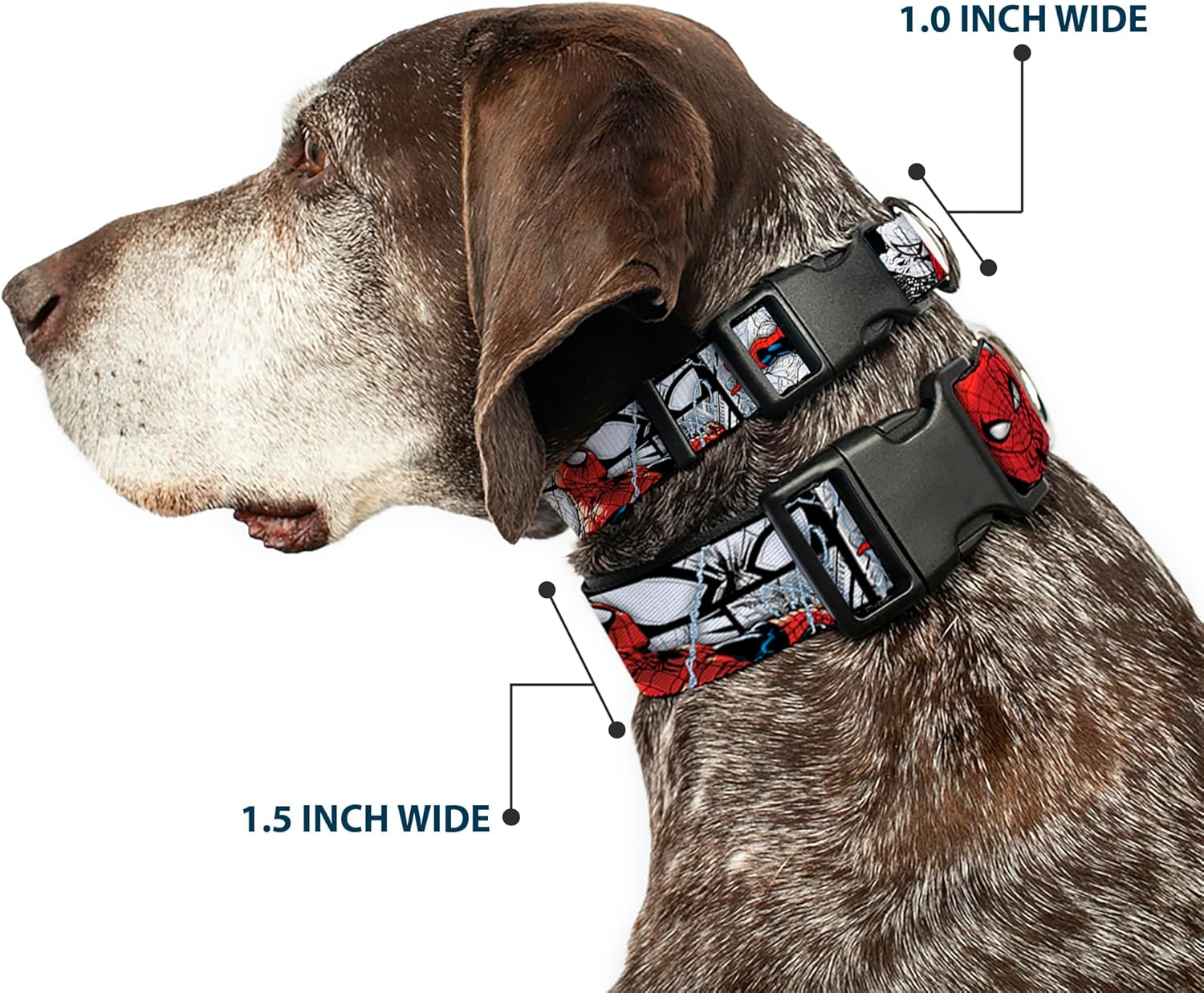Dog Collar Plastic Clip Spider Man Action Poses Comic Scenes White Black Red 9 to 15 Inches 0.5 Inch Wide