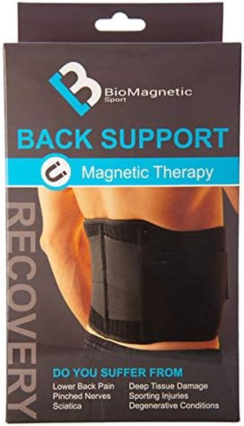 Back Support Belt, Black Large/X-Large image number 1