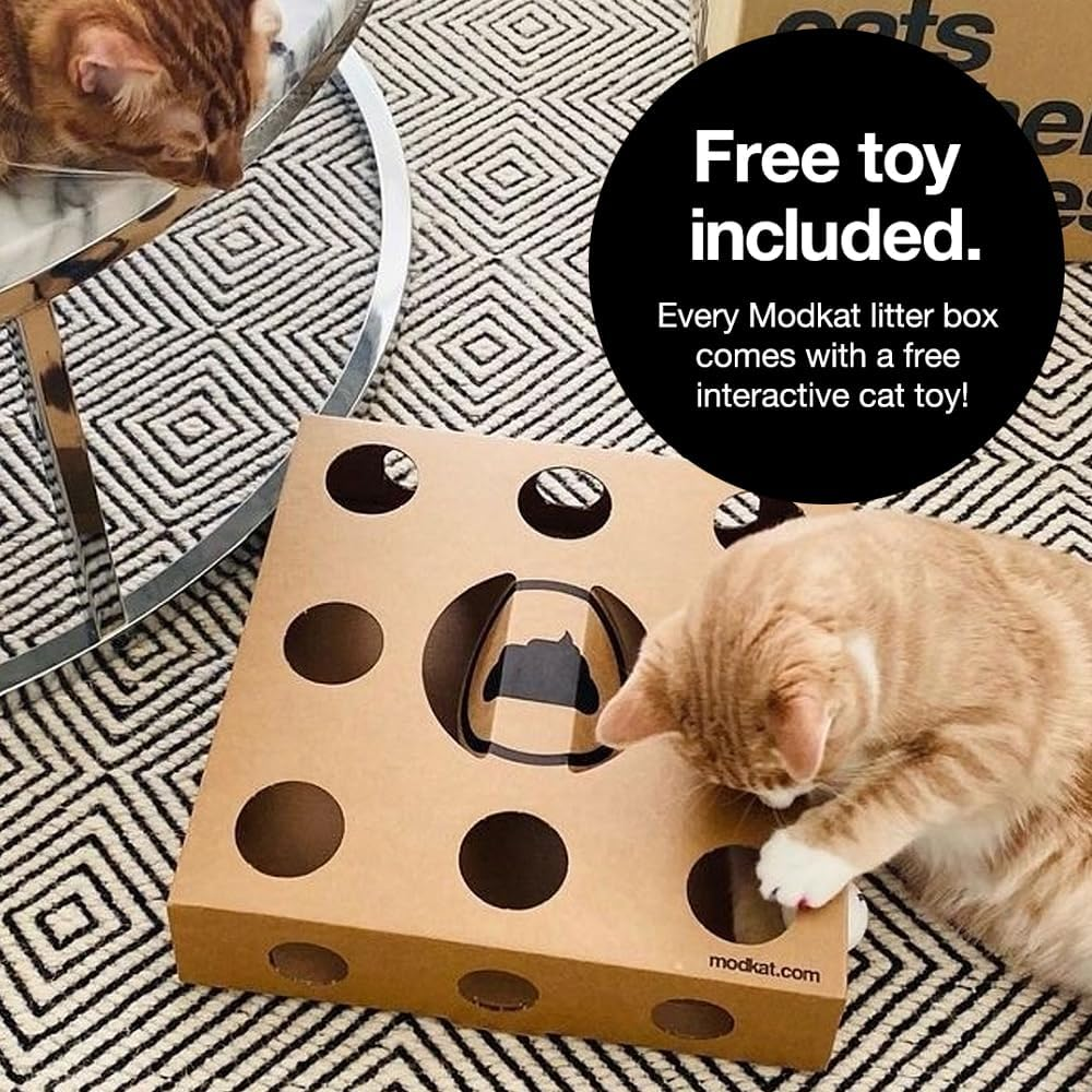 Modkat&reg; XL Litter Box, Top or Front-Entry Configurable, Full Height Seamless Base, Reusable Litter Liners, Sifting Litter Scoop, 2X Bamboo Charcoal Filters - Gray - White image number 5