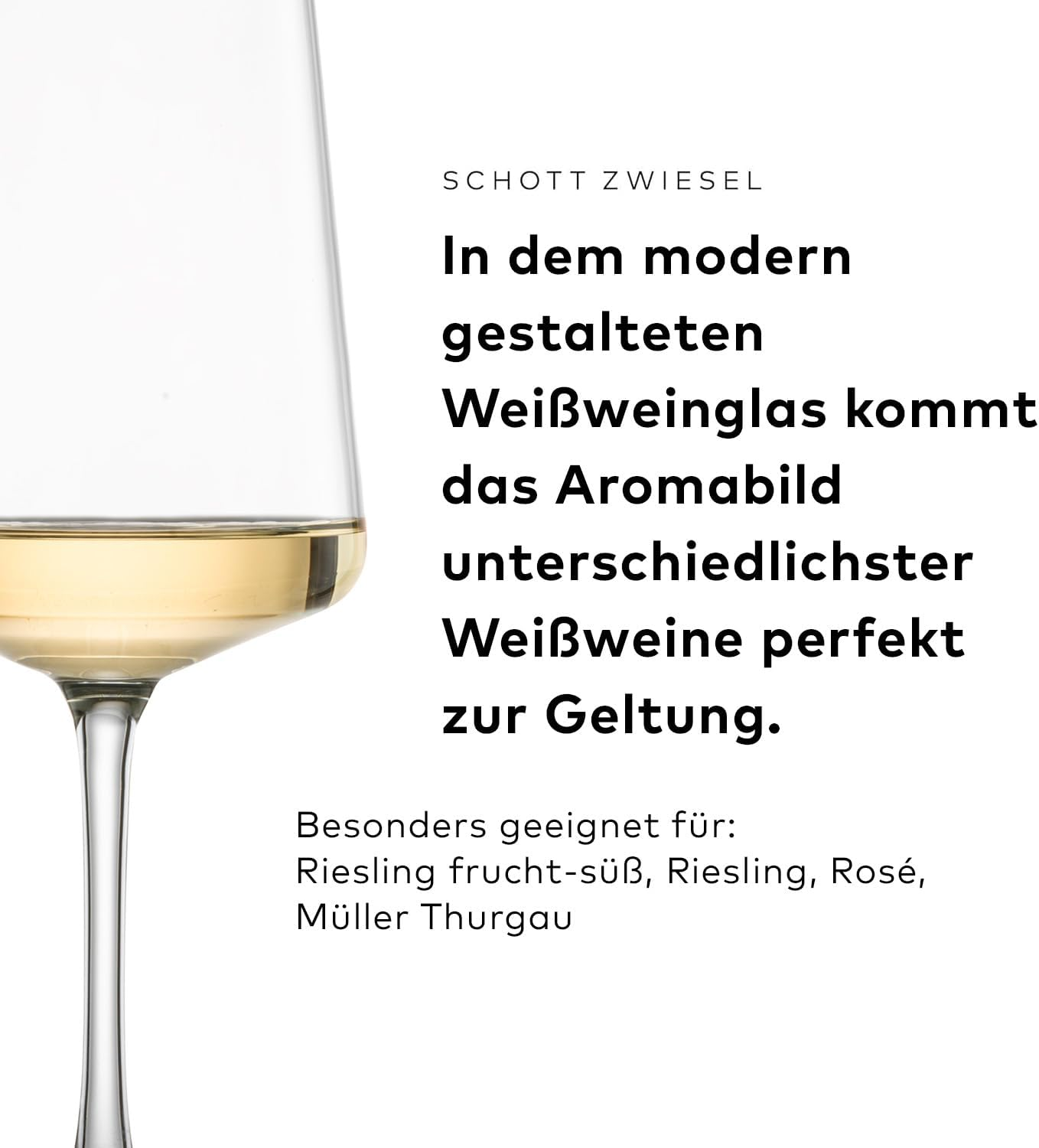SCHOTT ZWIESEL Miovino White Wine Glass (Set of 4), Modern Wine Glasses for White Wine, Dishwasher Safe Tritan Crystal Glasses, Made in Germany (Item No. 124050) image number 2