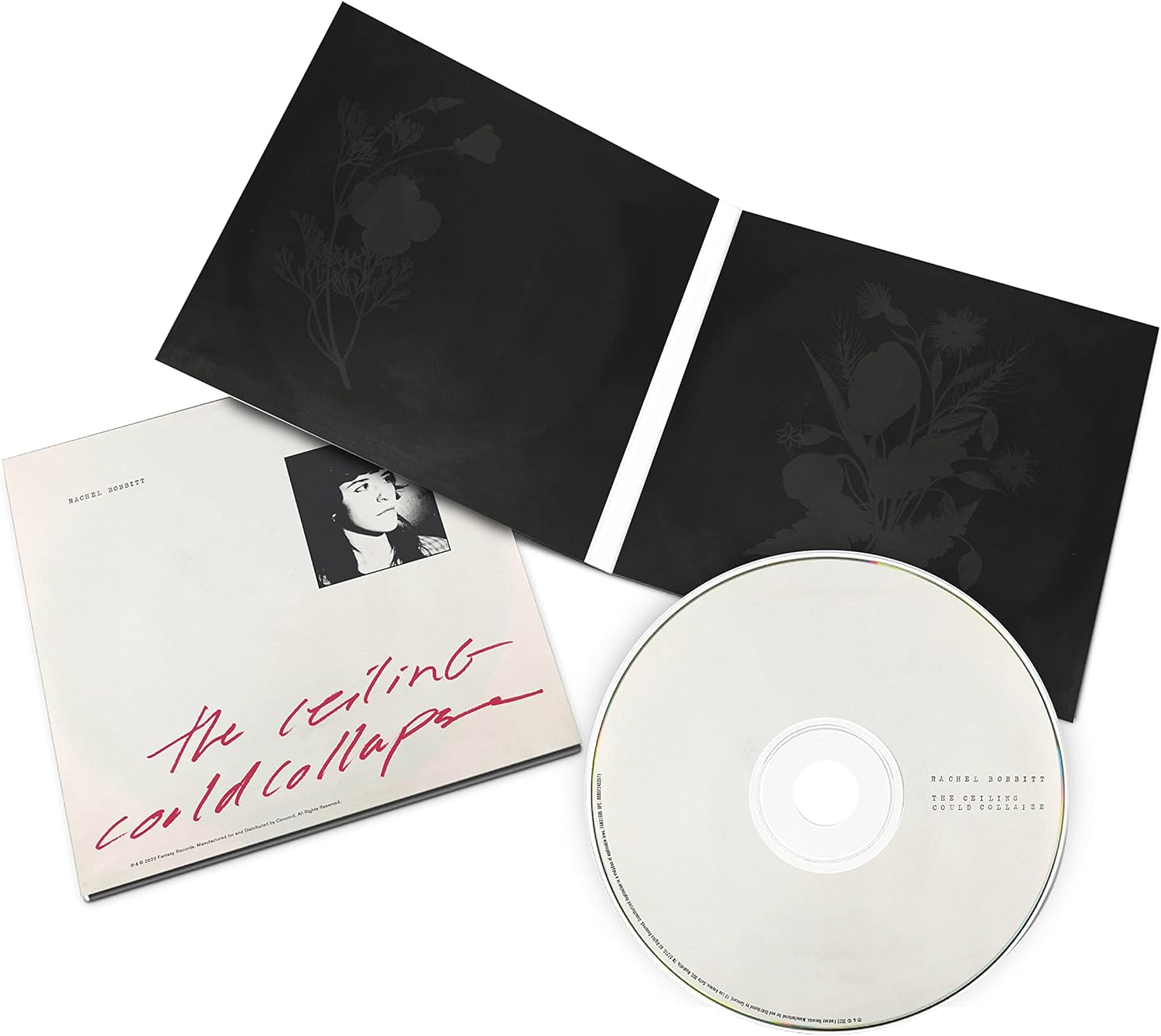 The Ceiling Could Collapse