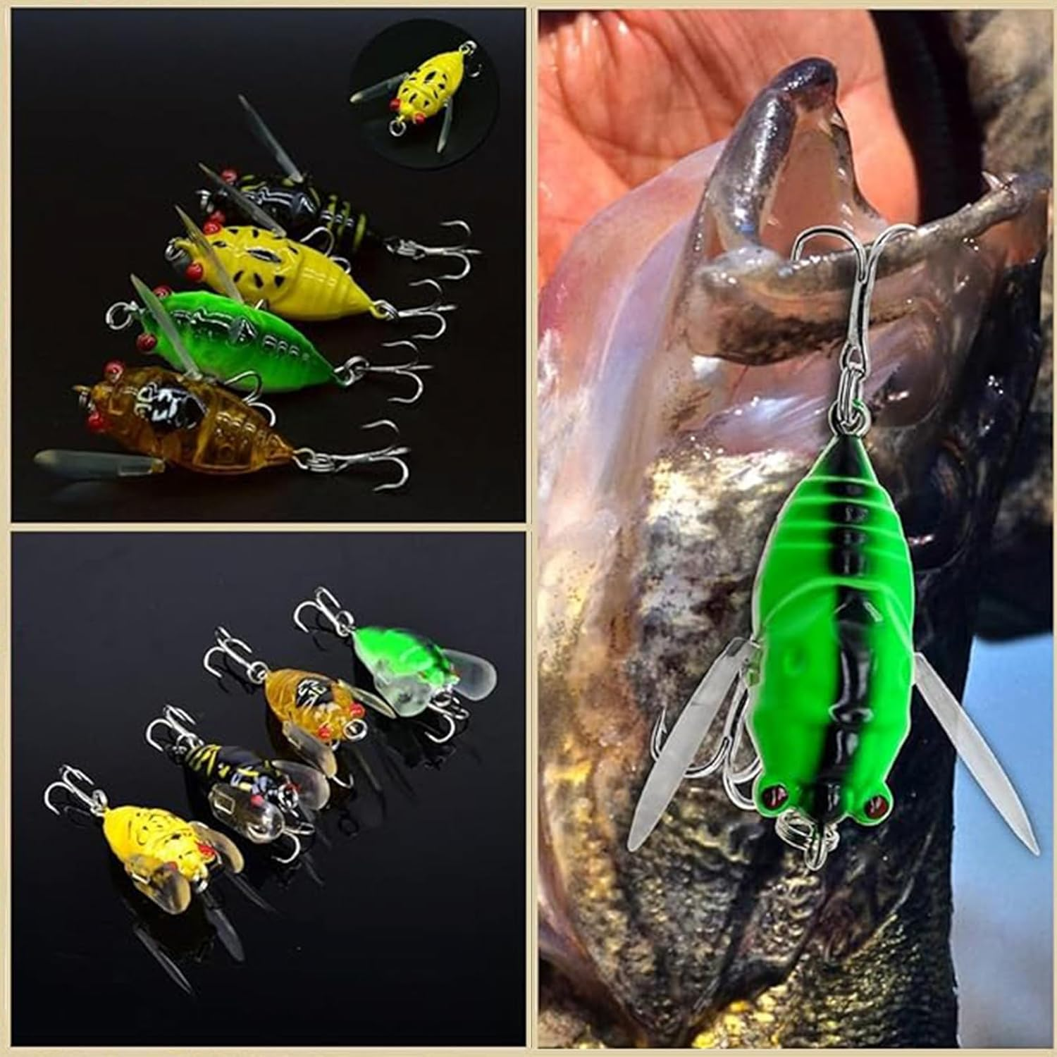 Cicada Fishing Lure, Lifelike 3D Holographic Eyes Freshwater Bait,5Pcs Artificial Bass Accessories for Fish Lures, Fishing Accessories image number 4