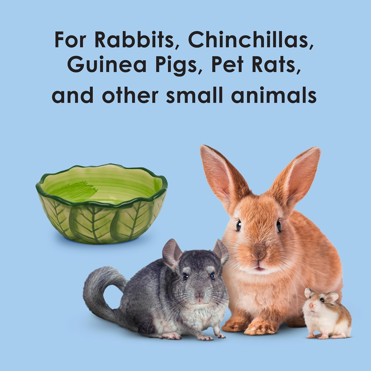 Kaytee Vege-T-Bowl Cabbage 6 Inches, Green image number 4