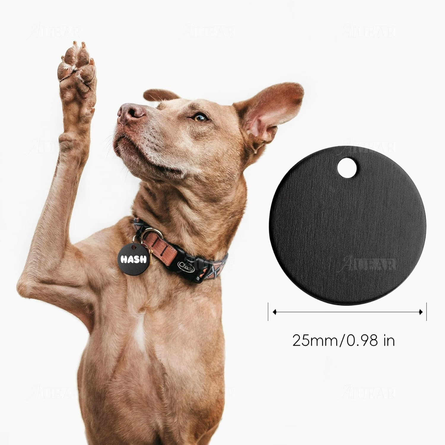 AUEAR, 20 Pack 25Mm round Shape Pet ID Tag Blank Dog Cat ID Tag for Pet Name Phone Charm Jewelry Making (Black) - Silver image number 6