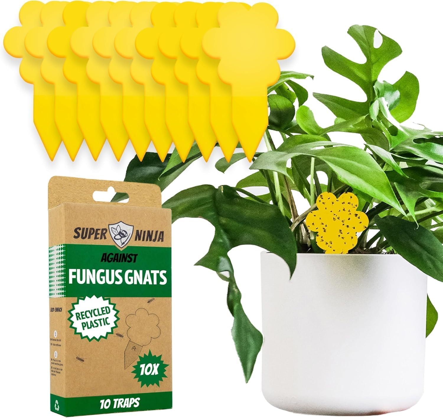 Super Ninja Fungus Gnat Killer - 10 Traps - Highly Effective and Ecological Yellow Sticky Traps for Fungus Gnat and Whitefly - Easy-To-Use - up to 3 Months (10 Traps)