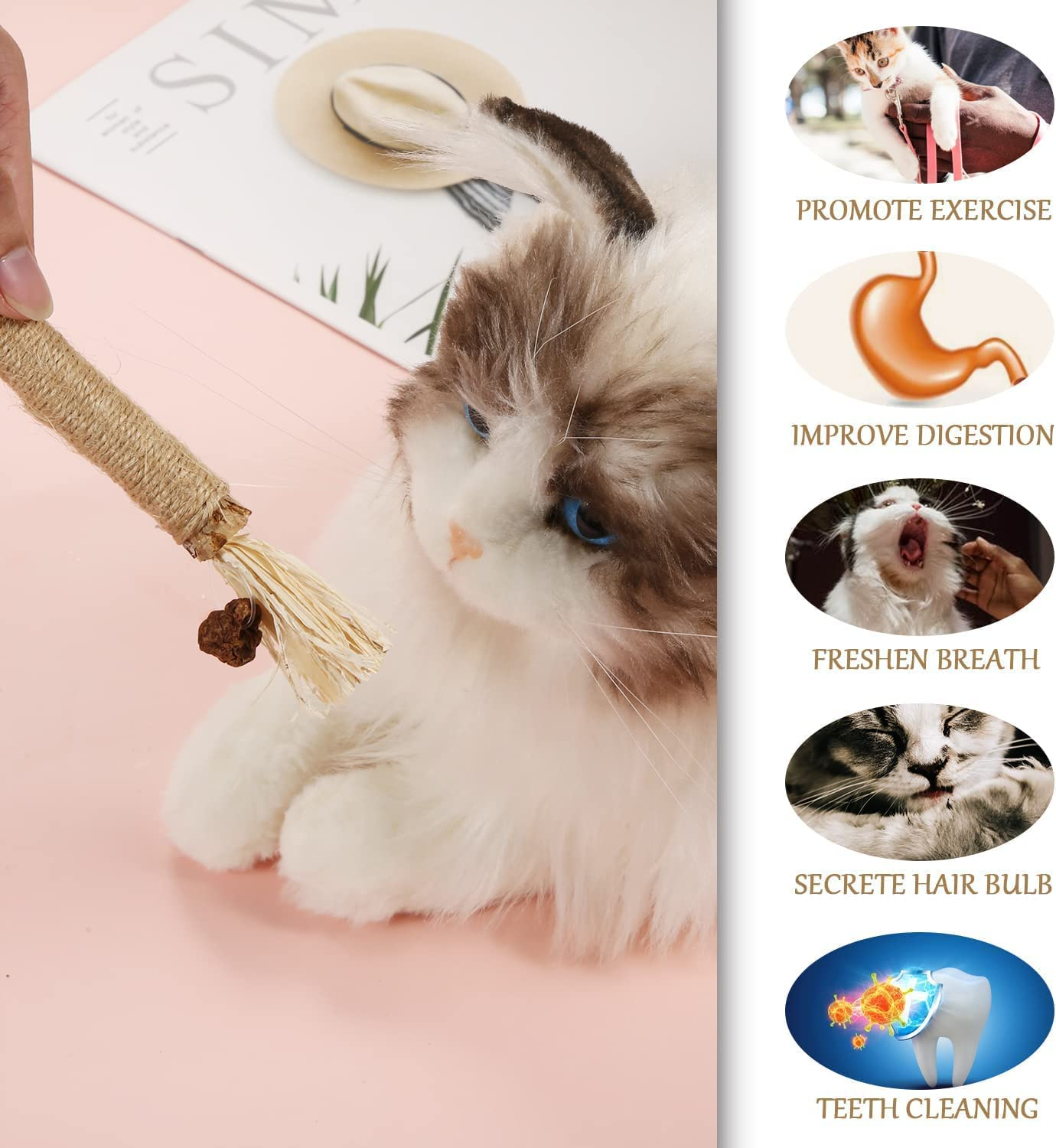 4 Packs Catnip Toys, Silvervine Chew Sticks Cat Teeth Cleaning Toy or Indoor Cats, More Attractive to Cats Toy, Catnips Chew Toys for Cats and Kitten Teething Dental Toy image number 2