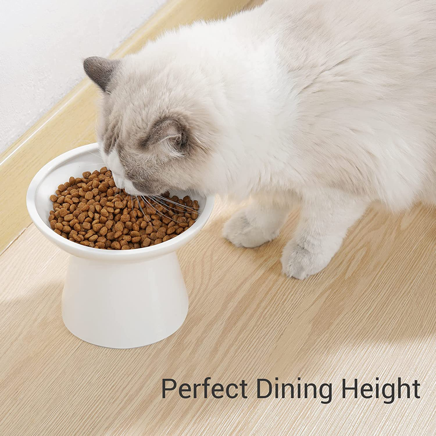 CEEFU Extra Wide Elevated Ceramic Cat Bowl, 6.2" Shallow Dish for Whisker Fatigue Relief, 5" Height for Easy Feeding, Durable Raised Cat Food Bowls, Pack of 2, White image number 6