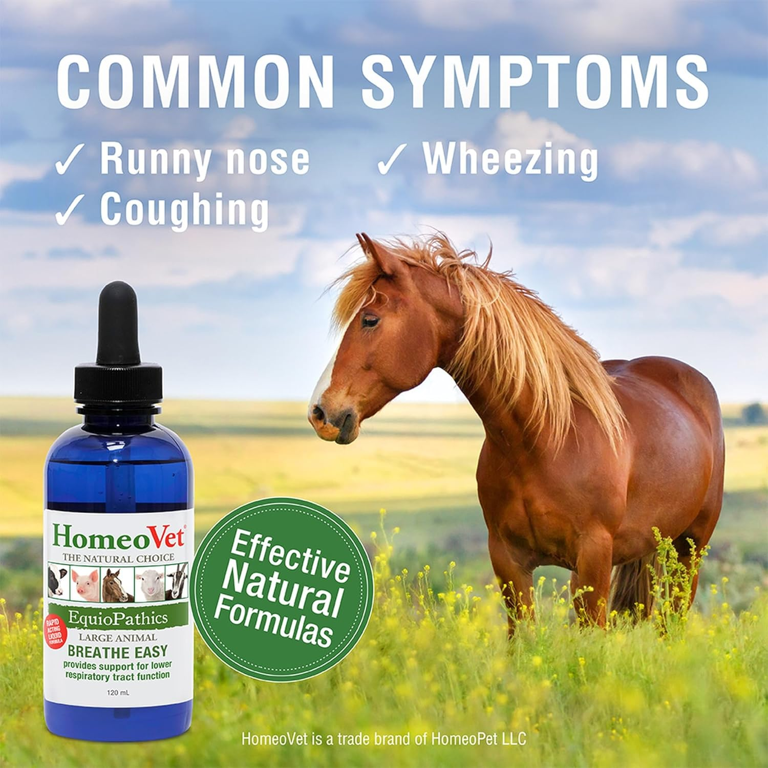 Homeovet Equine Breathe Easy 120 Ml - for Horses with Respiratory Discomfort. Lower Respiratory Tract Relief for Horses with Congestion. Natural Support for Equine Respiratory Balance and Breathing image number 4