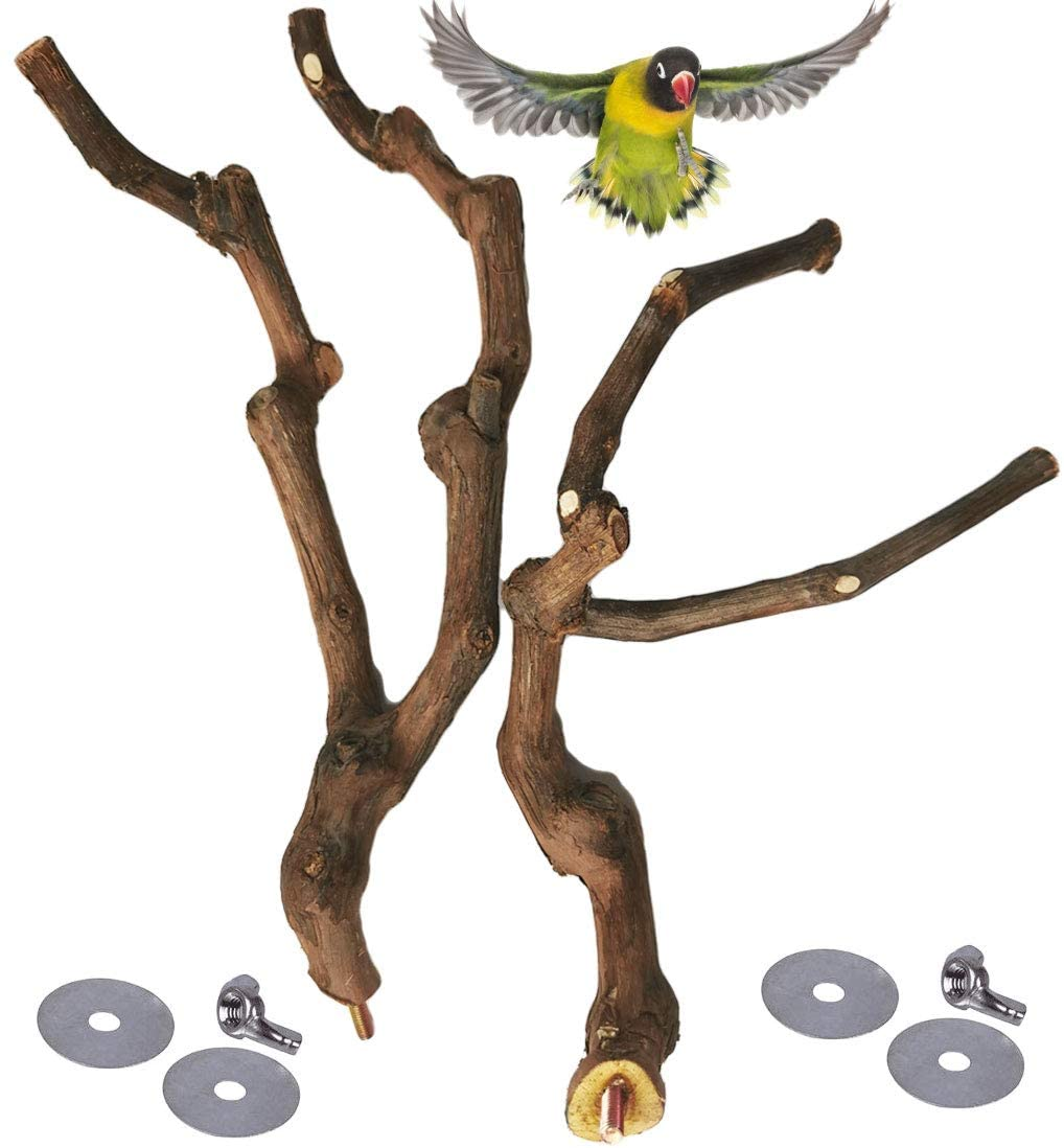 Kathson Natural Parrot Perch Bird Stand Pole Wild Grape Stick Paw Grinding Fork Parakeet Climbing Standing Branches Toy Chewable Cage Accessories for Small Budgies Cockatiels Lovebirds 3PCS