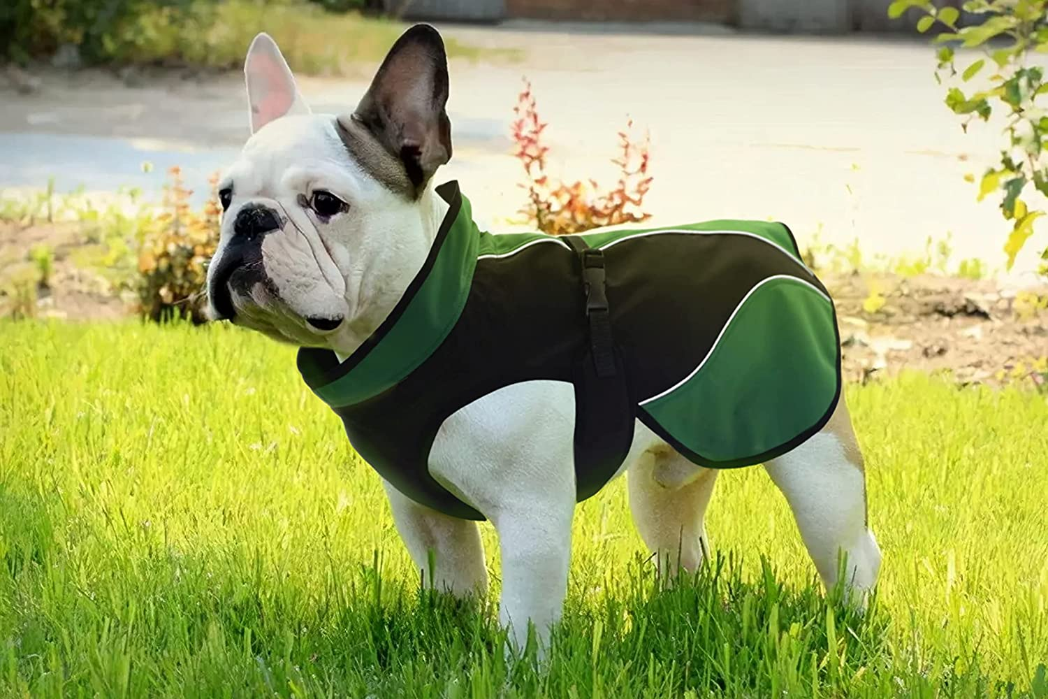 Dog Soft Shell Fleece Jacket,Windproof and Slightly Waterproof Snowsuit for Outdoor.Keep Warm Small &Medium &Large Dogs, Outer Material: Green & Black Inner Black, X-Small/20-30Cm Back Length
