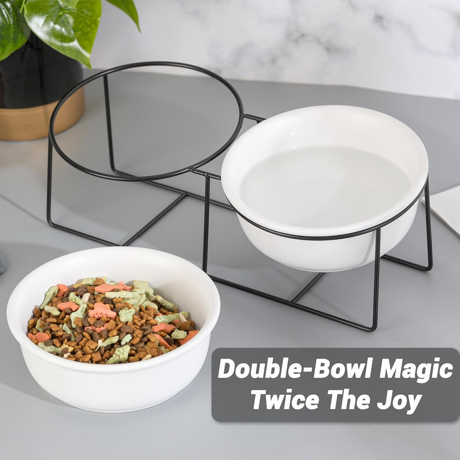 Raised Ceramic Dog Bowl with Metal Stand - Double Bowls for Food and Water - Feeding Bowl for Cats and Small to Medium Dogs - White image number 2