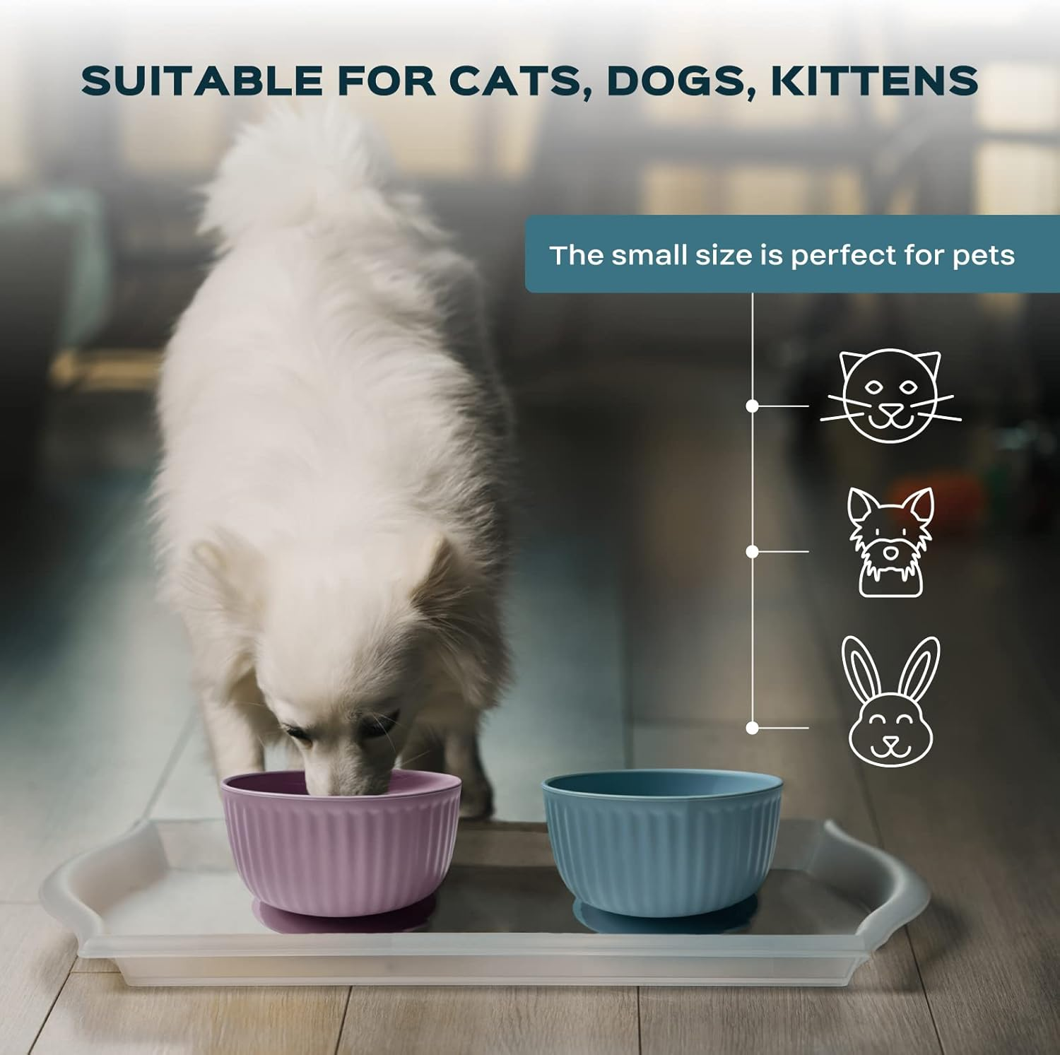 Cat Bowls with Suction Cup 13 Oz &mdash; Elevated Silicone Pet Dish with Non-Slip Bottom for Dry Food, Wet Food and Water &mdash; Silicone Water Bowl for Small Dog, Rabbit, Kittens &mdash; Microwave & Dishwasher Safe - Grafit image number 5