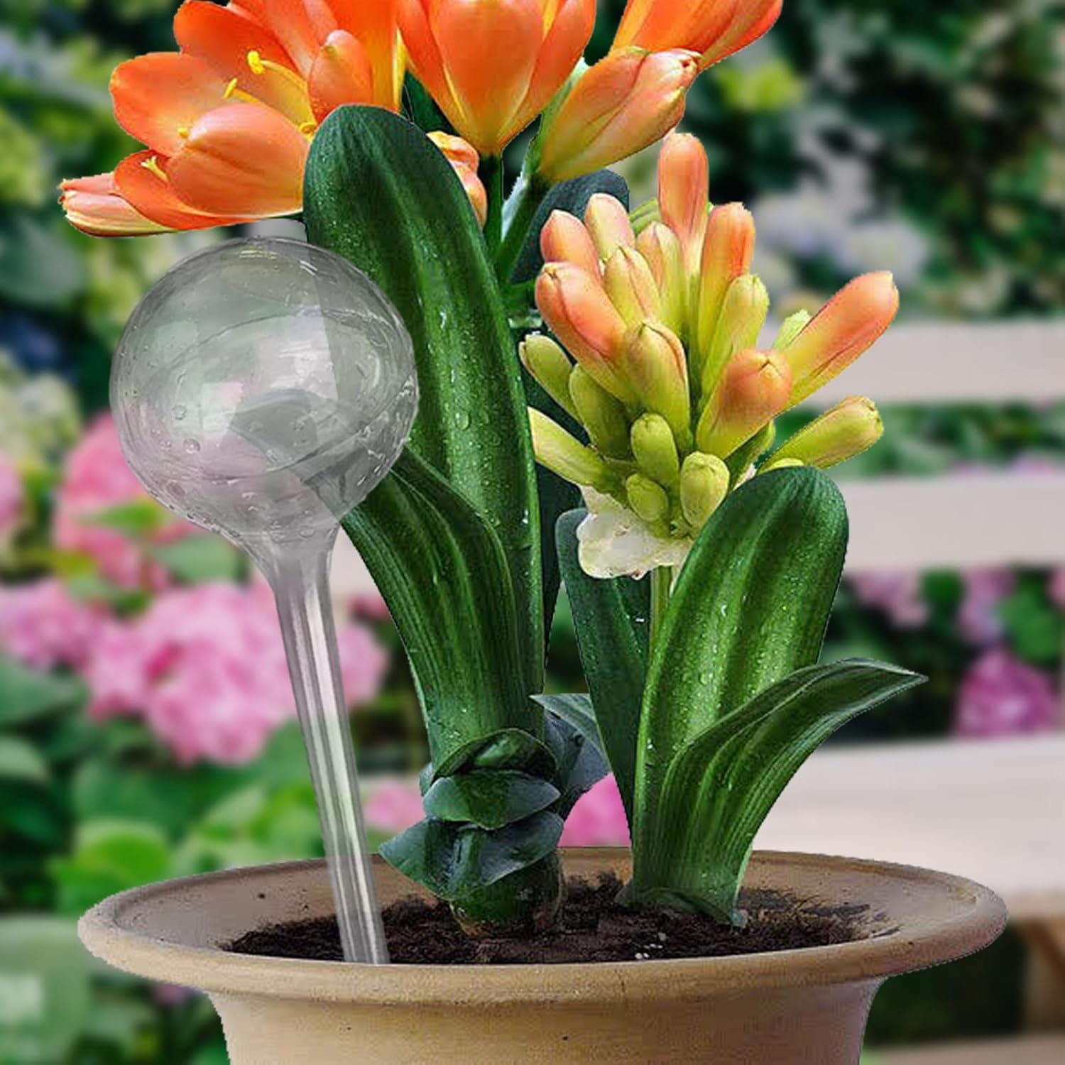 Plant Watering Globes - Watering Clear Watering Bulb - Gardening Supplies, Multifunctional Decorative Irrigation Tools for Indoor Outdoor Garden Potted image number 2
