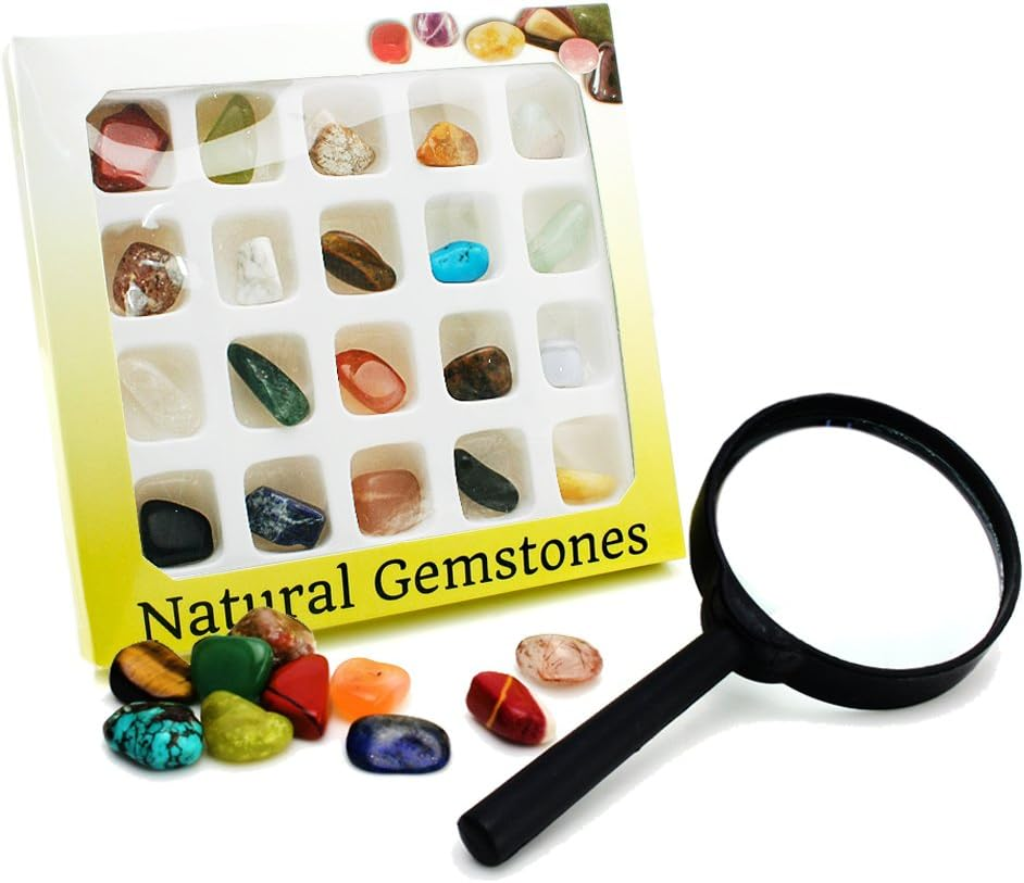 BEADNOVA Gemstone Rock Collection Kit for Kids Geology Science Learning with Magnifier Reading Glass (Pack of 20Pcs)
