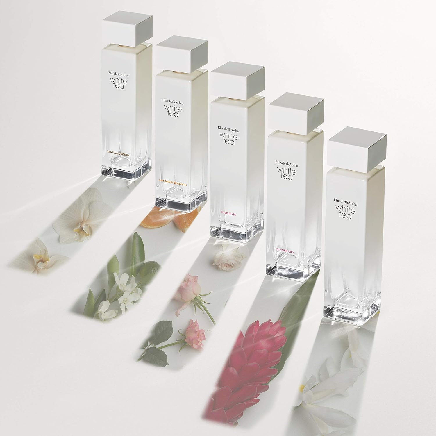 Elizabeth Arden LE White Tea Gingerlily Eau De Toilette Spray for Women 30 Ml image number 6