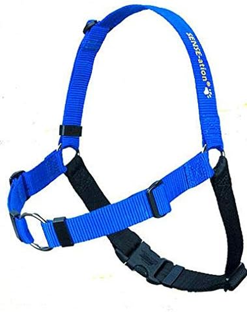 The Original Sense-Ation No-Pull Dog Training Harness (Blue, Extra Small) image number 2