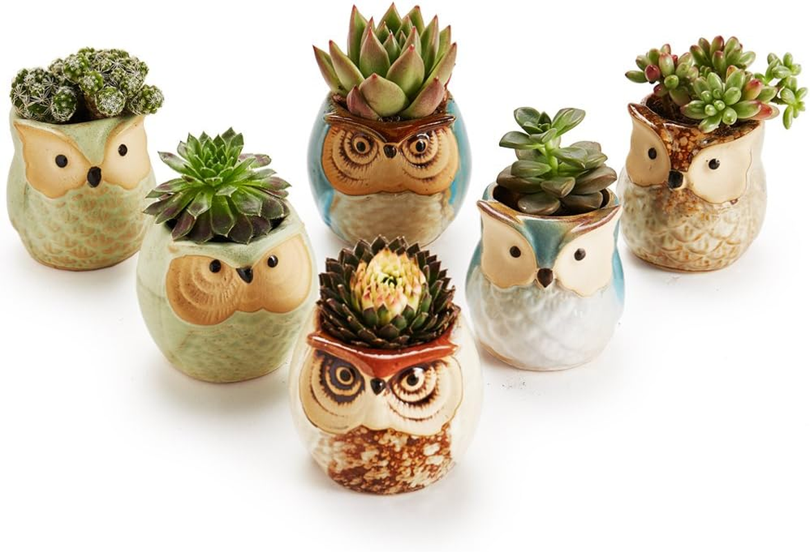 Sun-E 6 in Set Owl Pot Ceramic Flowing Glaze Base Serial Set Succulent Plant Pot Cactus Plant Pot Flower Pot Container Planter Bonsai Pots with a Hole Perfect Gife Idea 2.5 Inch image number 2