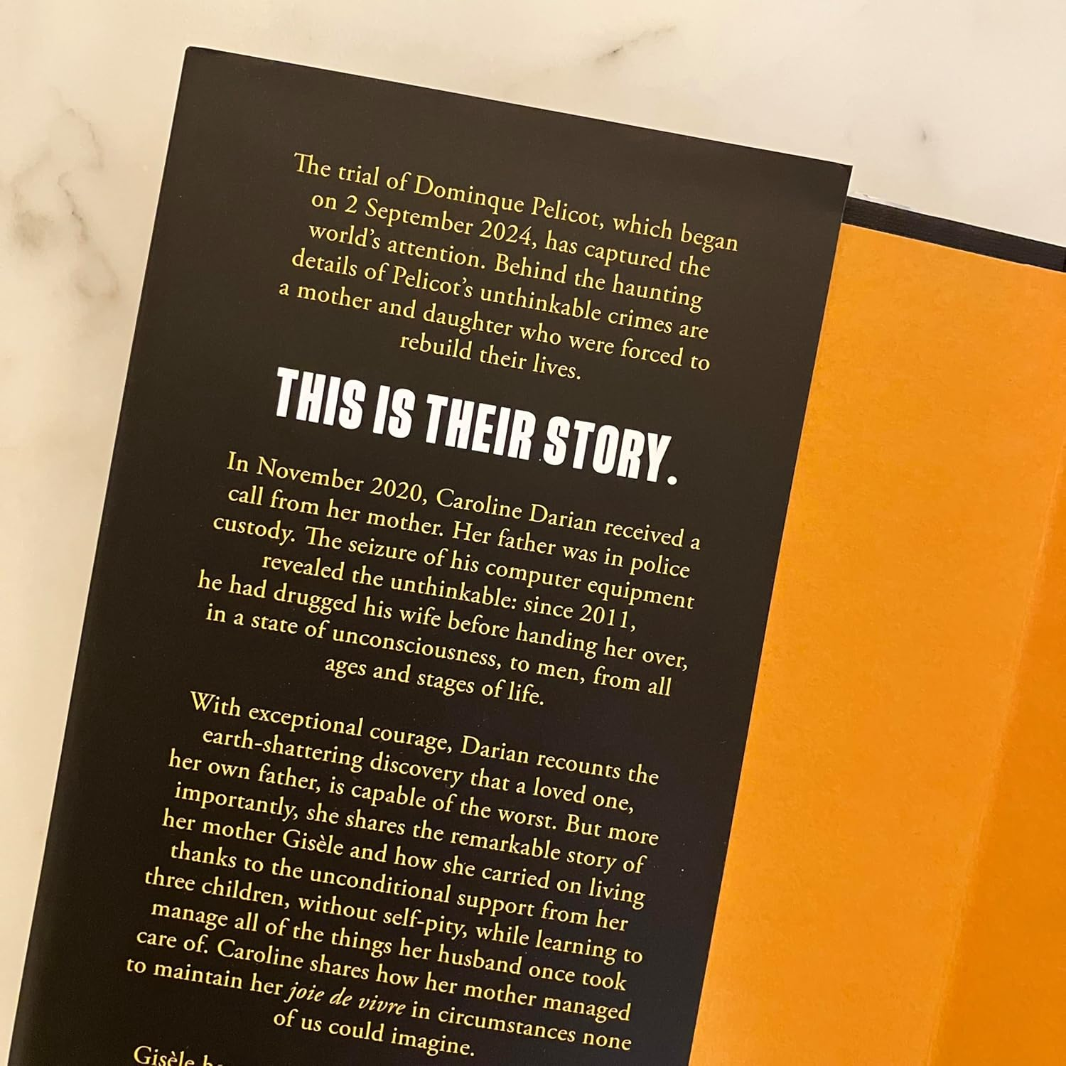 I'Ll Never Call Him Dad Again: by the Daughter of Gis&egrave;le Pelicot: Turning Our Family Trauma of Chemical Submission into a Collective Fight image number 1