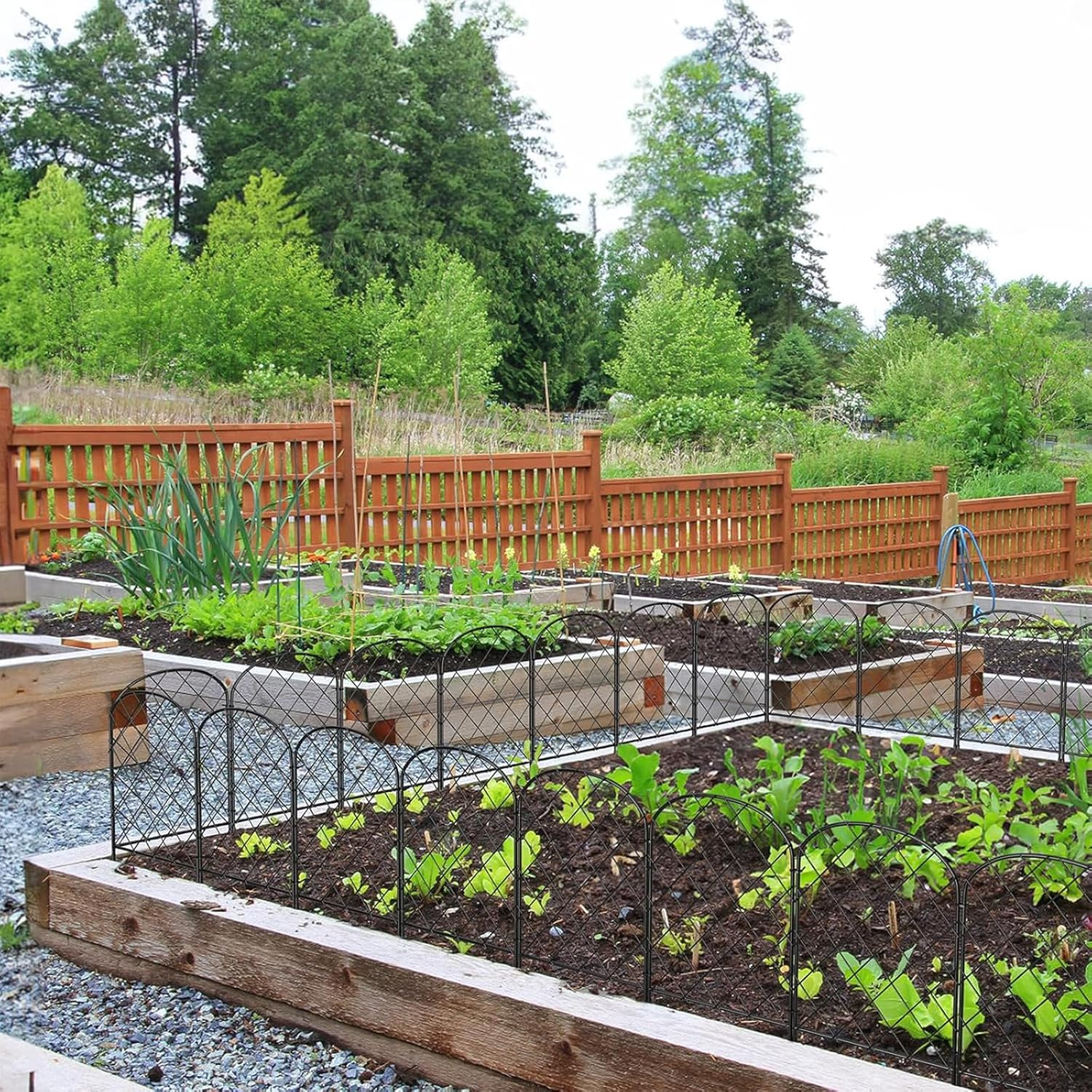 Decorative Garden Fence,10 Pack Total 10Ft(L) X 24In(H) Animal Barrier Border for Dog,Arched Wire Border Panel Fencing for Yard Patio Outdoor D&eacute;cor image number 5