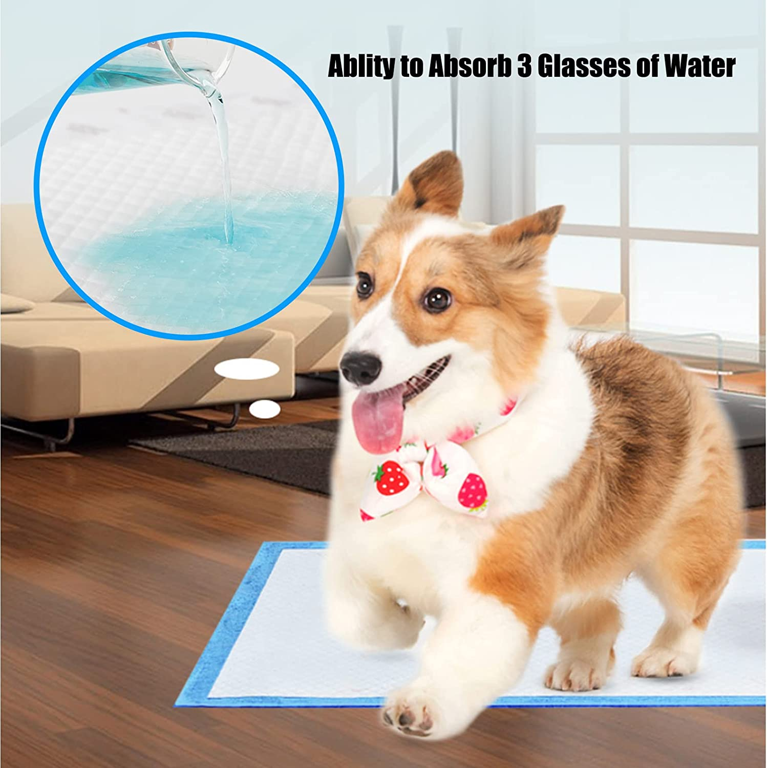 Dog Disposable Training Pad 60X60Cm-100 Count |Large Puppy Pee Training Pads Super Absorbent & Leak-Proof | Disposable Pet Piddle and Potty Pads for Puppies | Dogs | Doggie (60X60P100) image number 3