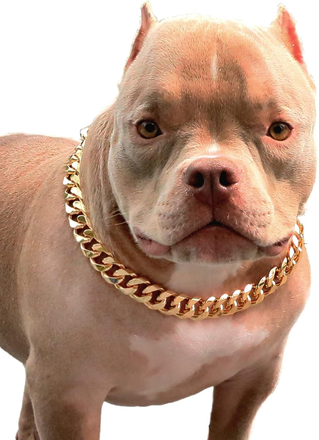 Gold Chain Dog Collar-3/4 Width Cuban Link Dog Necklace, Cute Fashion Pet Collar for Pit Bulldog, Light Metal Jewelry Chain Puppy Accessories 20" image number 1