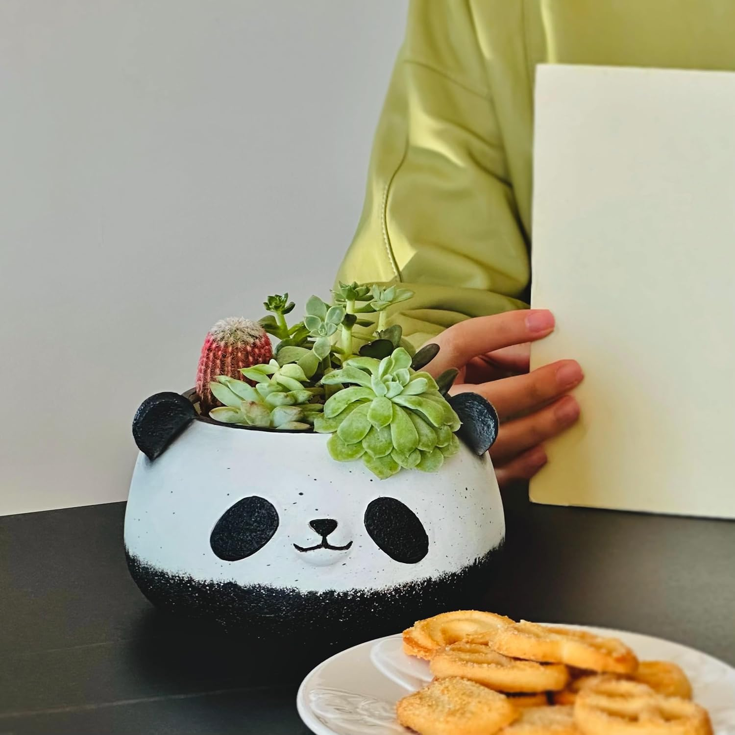 Small Panda Bear Plant Pots, Resin round Flower Pots, Cute Succulent Pots with Drainage Holes, Home Decor Planters for Animal Lovers