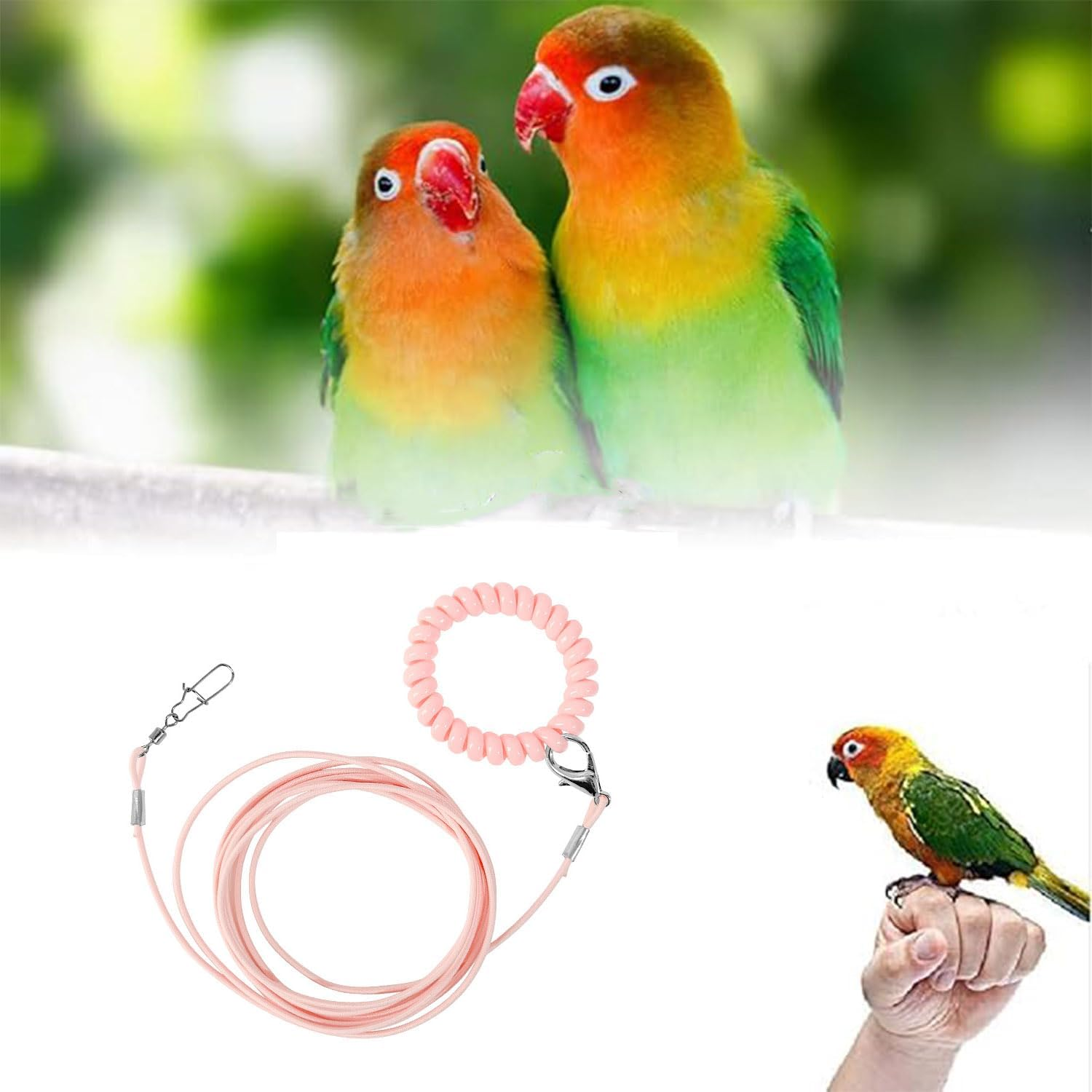 Adjustable Bird Foot Chain Harness Biting Resistant Training Toy with Ankle Ring for Pet Birds Outdoor Flying Training Rope for Terrace (Pink) image number 6