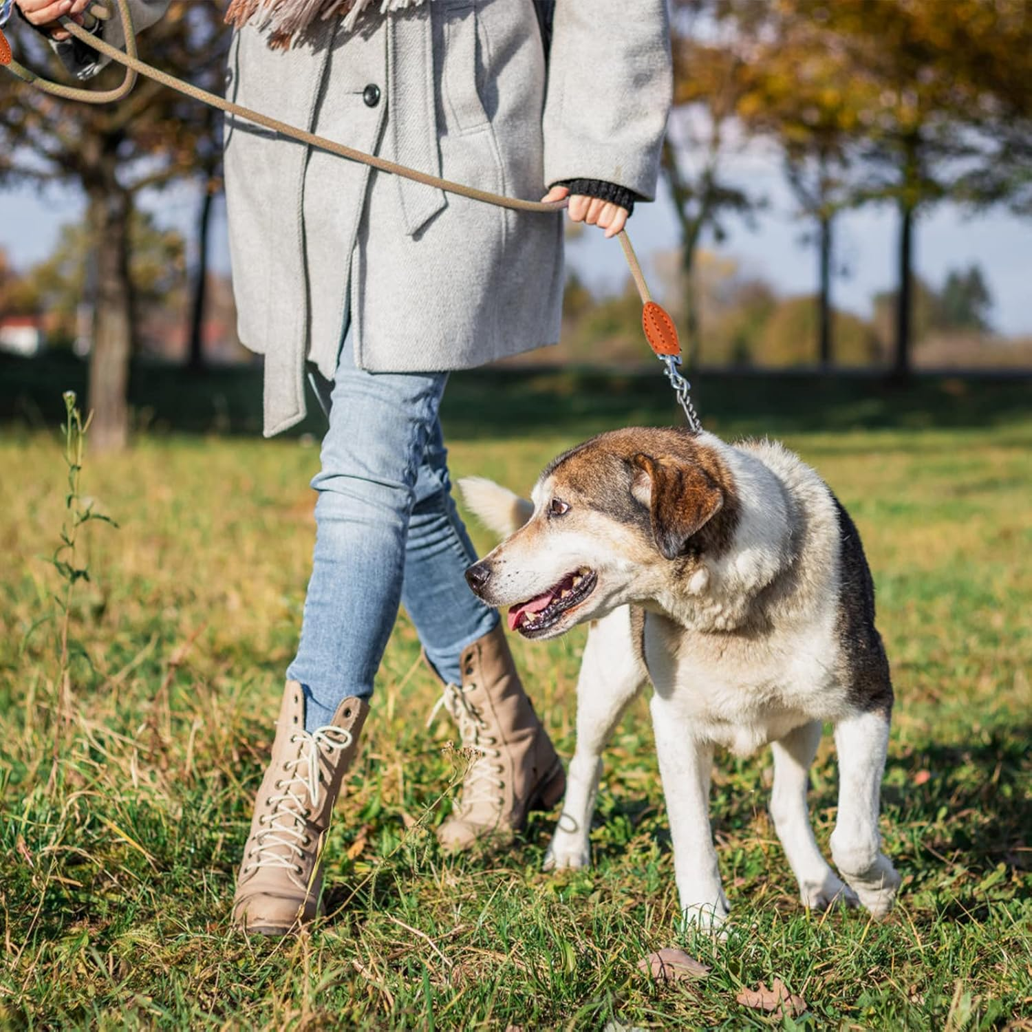 Dog Lead Hands Free Dog Lead Dog Training Leads 3M for Medium Small Dogs (10Mm*10Ft) Adjustable Double Ended Lead Multifunctional with Reflective Rope Lead for Outdoor Walking Running Brown image number 7