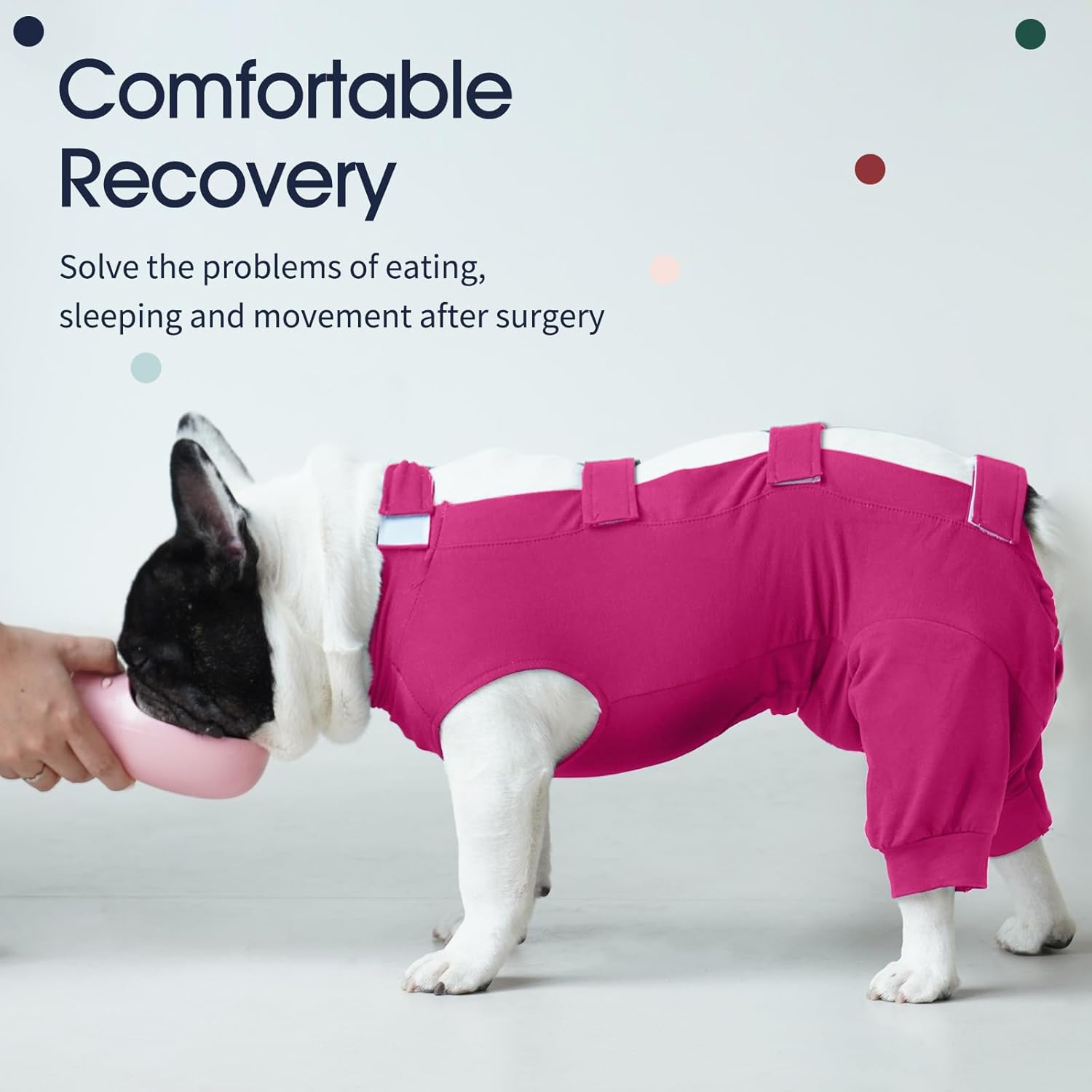 Iecoii Dog Recovery Suit - Soft Surgical Onesie for Post-Surgery Dogs, Protects Abdominal & Rear Leg Wounds, Stops Licking, L-Rosered image number 6