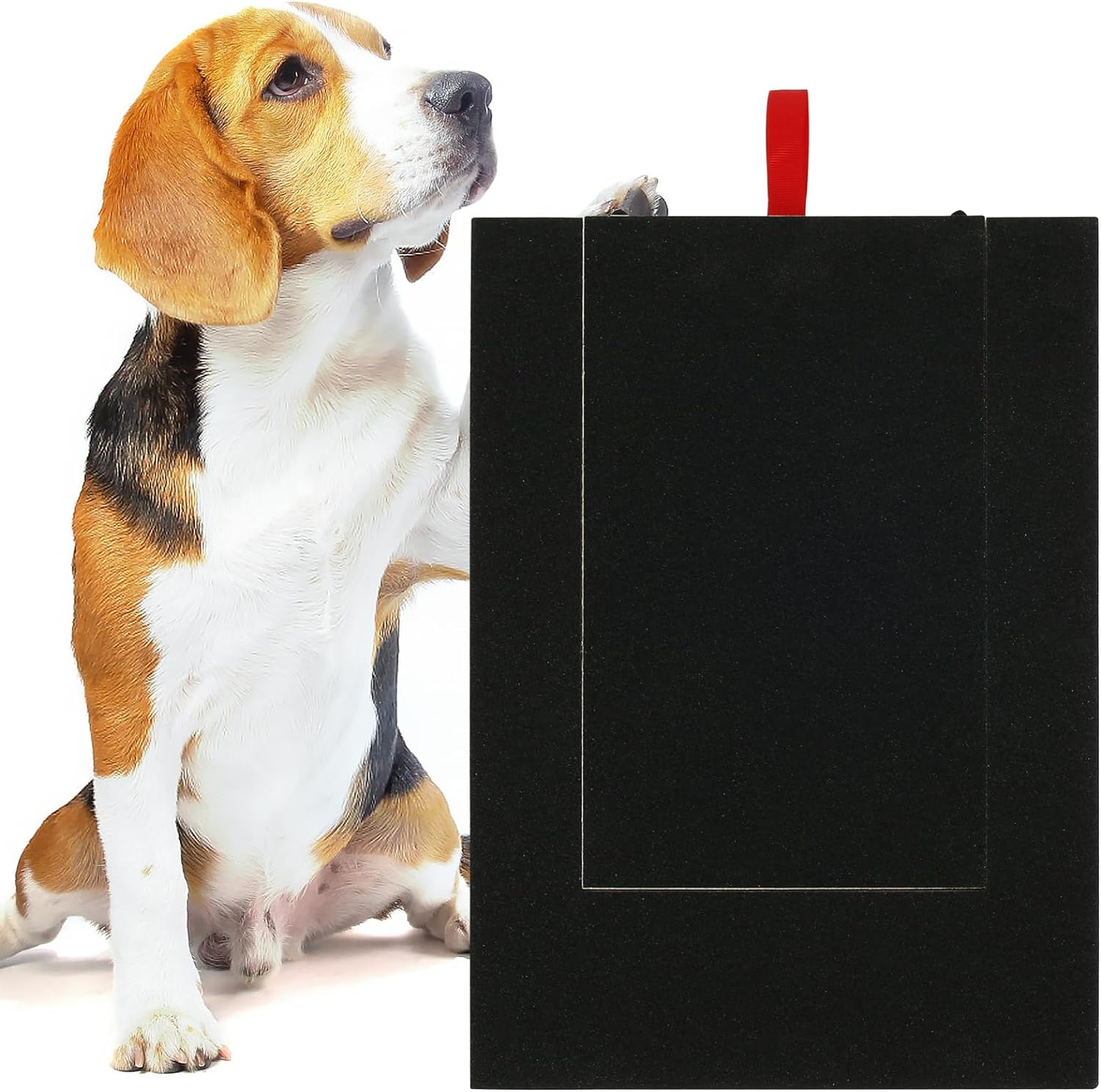 Dog Nail Scratch Pad Wooden Dog Nail File Board with Sandpaper Sturdy Built-In Snack Box Dog Paws Scratchboard Puppy Nail Grinding Pad for Small and Medium Dogs image number 5