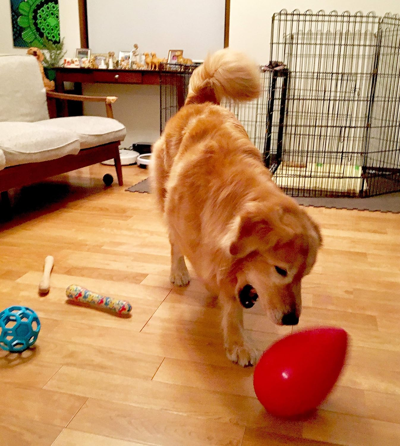 JW Pet Dog Toy, Mega Egg, Large image number 3