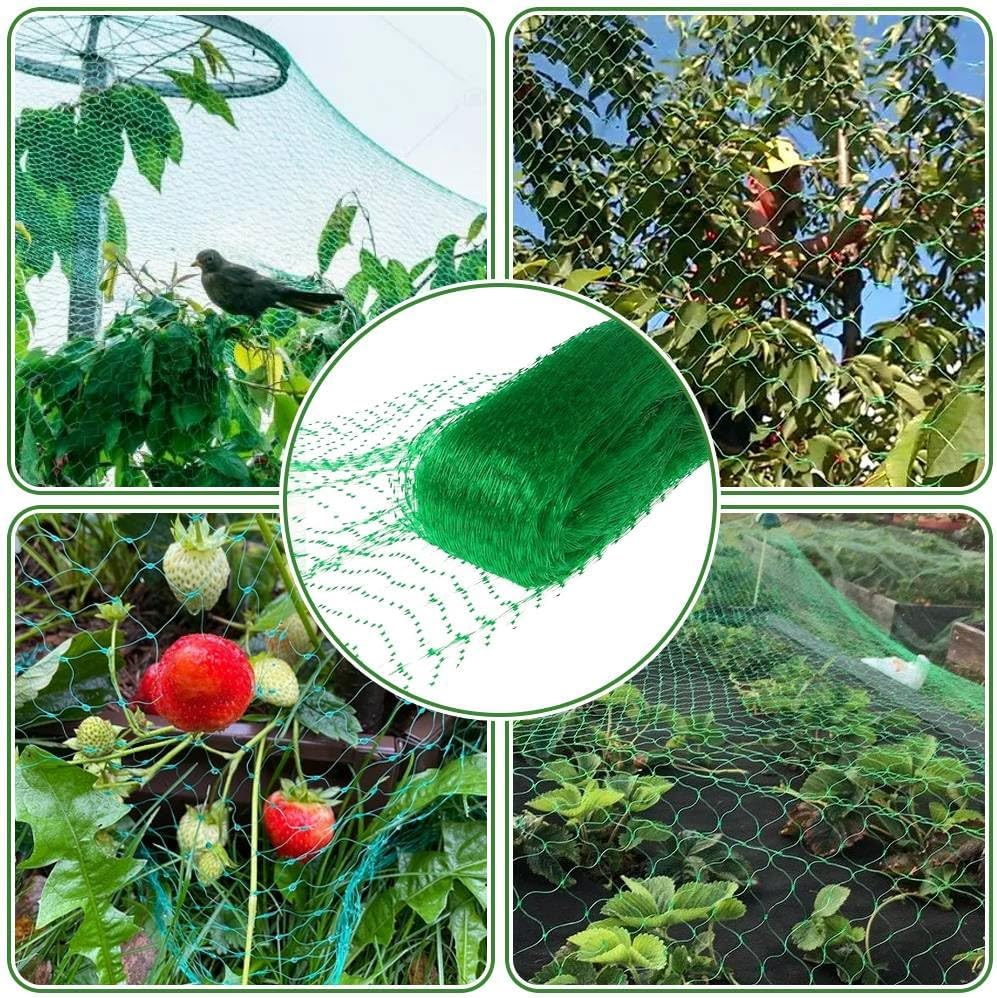Dreamil Bird Protection Net, 2 M X 10 M, Bird Protection Net, Tight Mesh, Robust, Weather- and Uv-Resistant, Chicken Net, Garden Net, Poultry Net, Suitable for Balcony Garden Ponds, Green image number 5