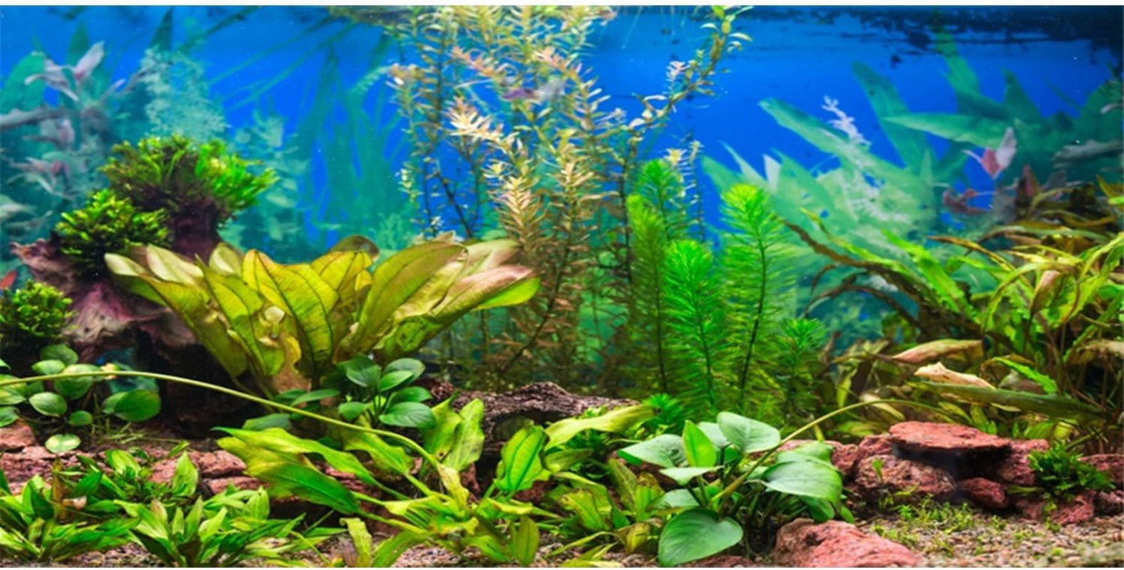 AWERT 48X24 Inches Aquarium Background Aquatic Plant River Bed & Lake Fish Tank Background Vinyl