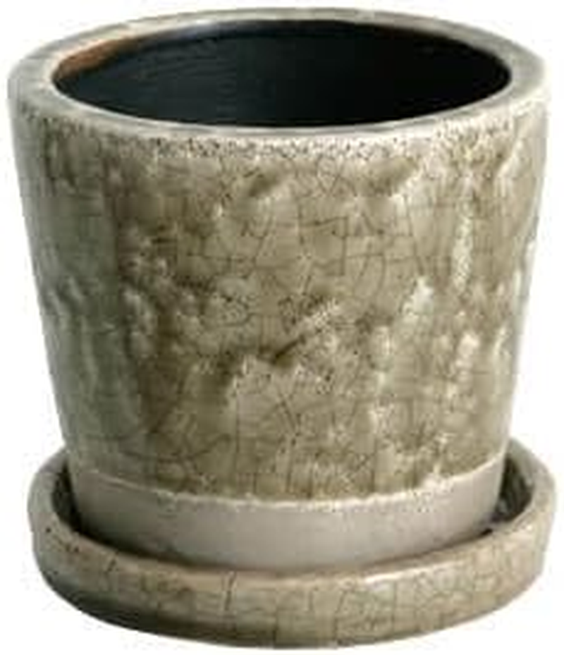 Dulton CH13-G476LGN Color Glazed Pot, Gardening Supplies, Color Lime Green, Size M, with Bottom Hole