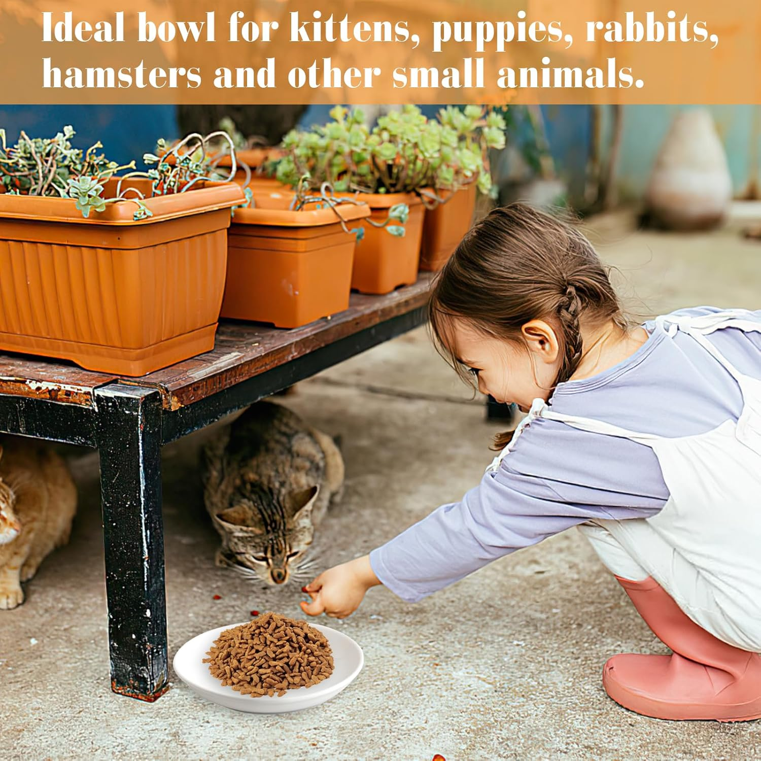 Ceramic Cat Bowl, Cat Bowl, Flat Cat Bowl, Cat Feeding Bowl, Flat Cat Bowl, Drinking Bowl, Cat Bowl, Cat Food, Water Bowl for Dogs, Cats, Rabbits image number 3