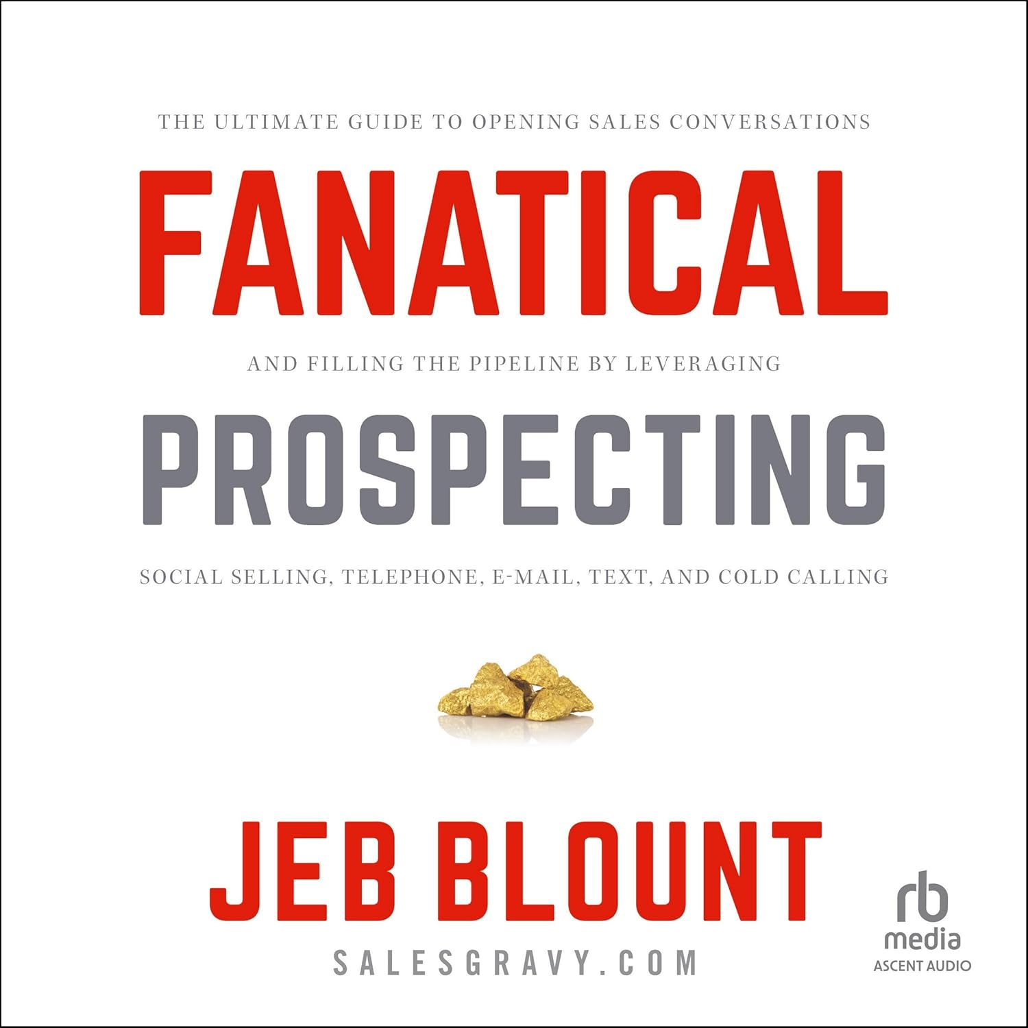 Fanatical Prospecting: the Ultimate Guide to Opening Sales Conversations and Filling the Pipeline by Leveraging Social Selling, Telephone, Email, Text, and Cold Calling image number 1