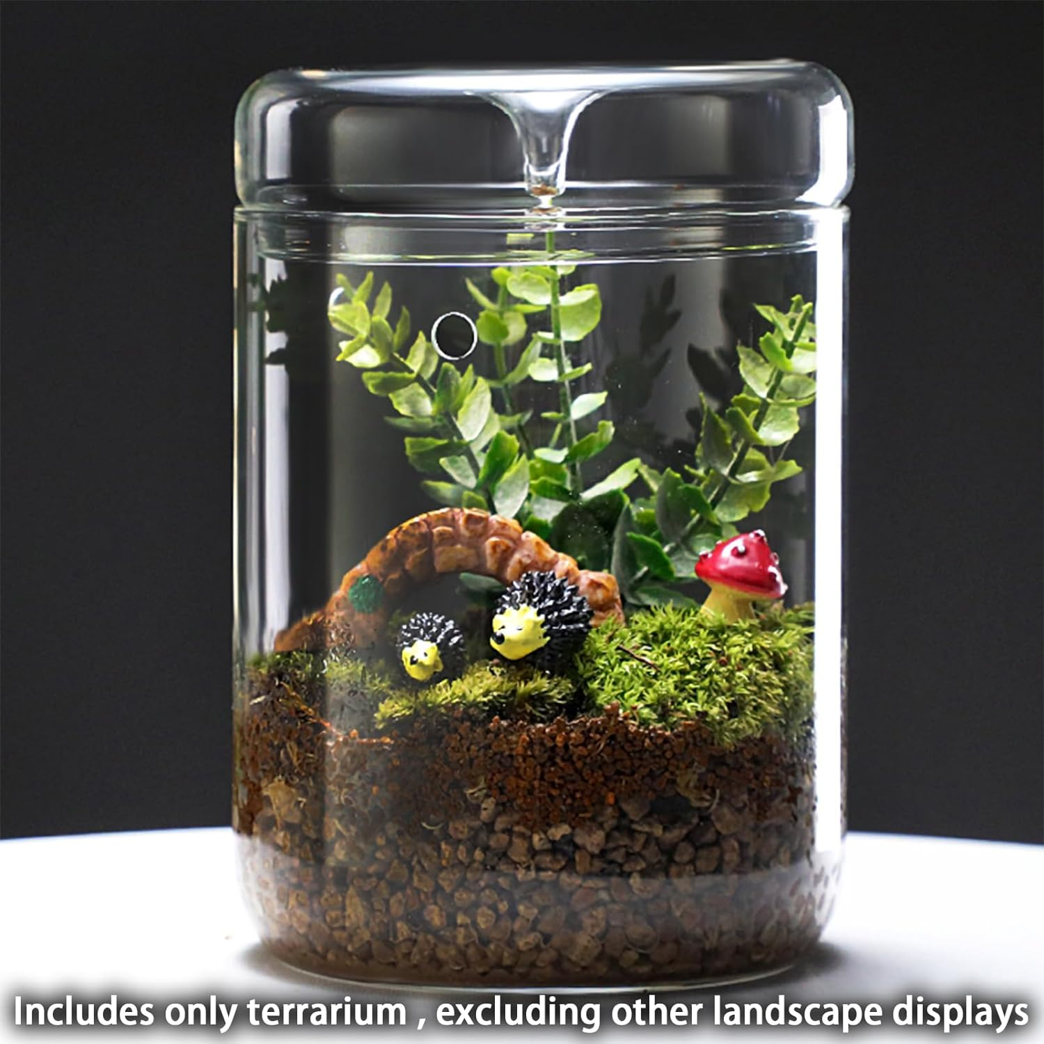 SARUFO Small Glass Plant Terrarium 4.7"X7" Inches Succulent Air Planter Fern Moss Micro-Landscape Vase for Home Garden Office Tabletop Decoration Container with Lid Indoor Wardian Copyright Patent image number 6