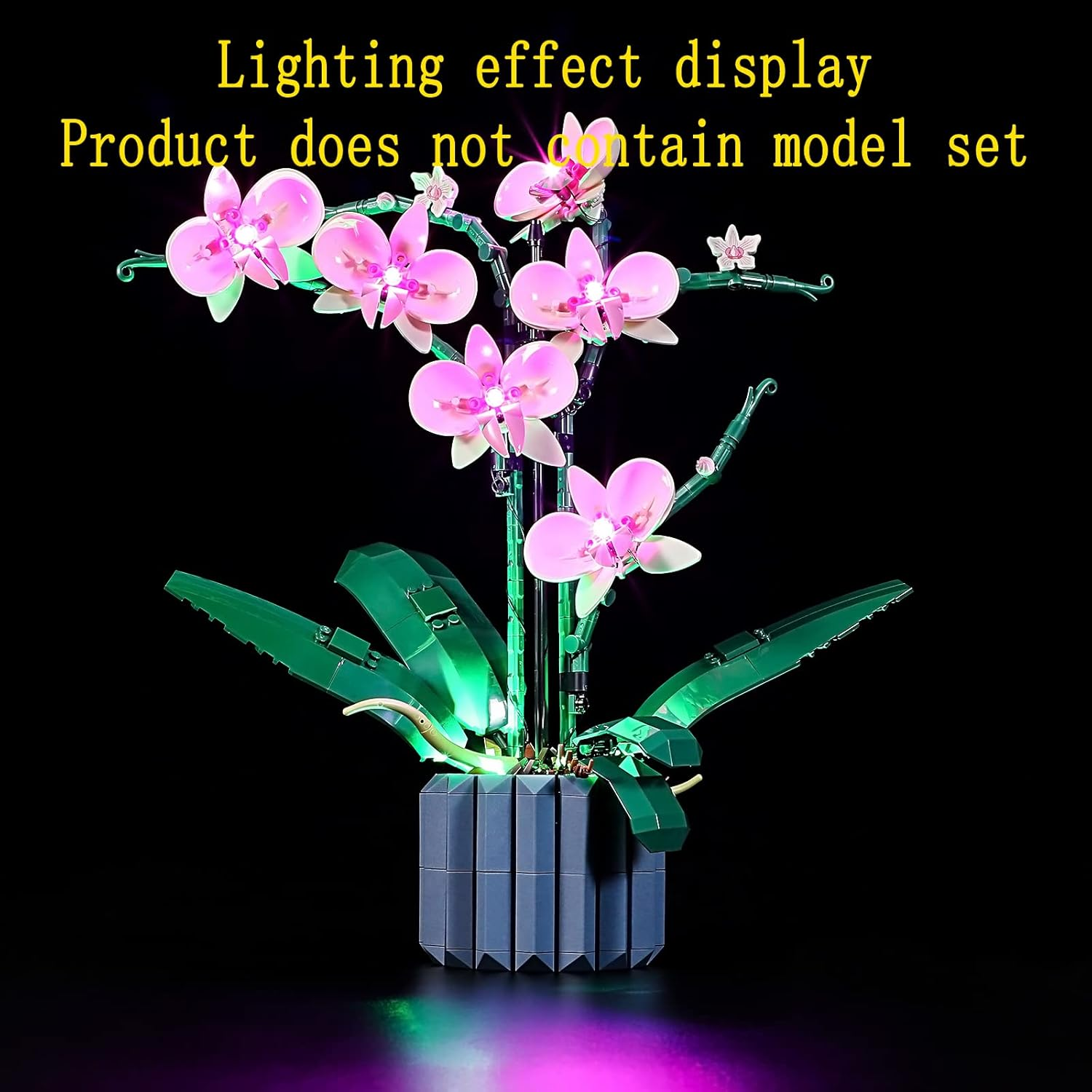 GEAMENT LED Light Kit Compatible with  Orchid - Lighting Set for Creator 10311 Building Model ( Set Not Included) image number 6