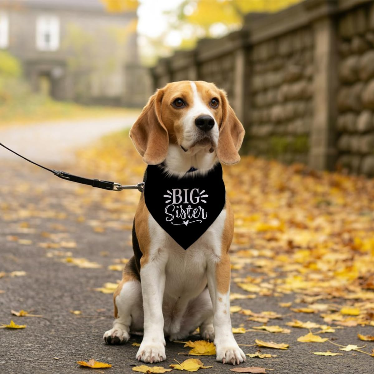 Big Sister Bandana for Dog, Pet Pregnancy Announcement, Black Dog Bandana, Big Sister Dogs Shirt, Pet Bandana for Small Medium Dogs (M) image number 3